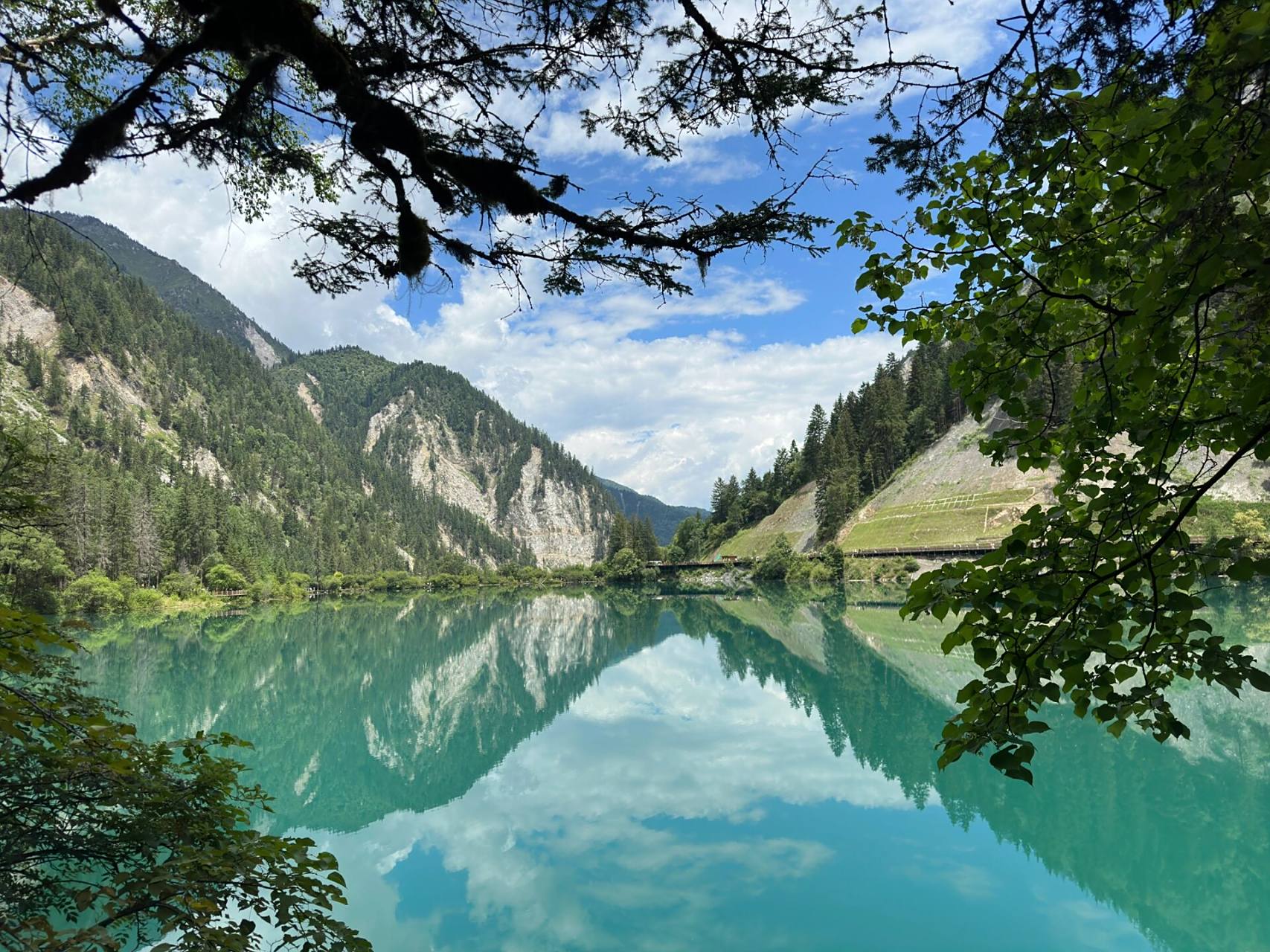 7月24日九寨沟箭竹海 一饱眼福