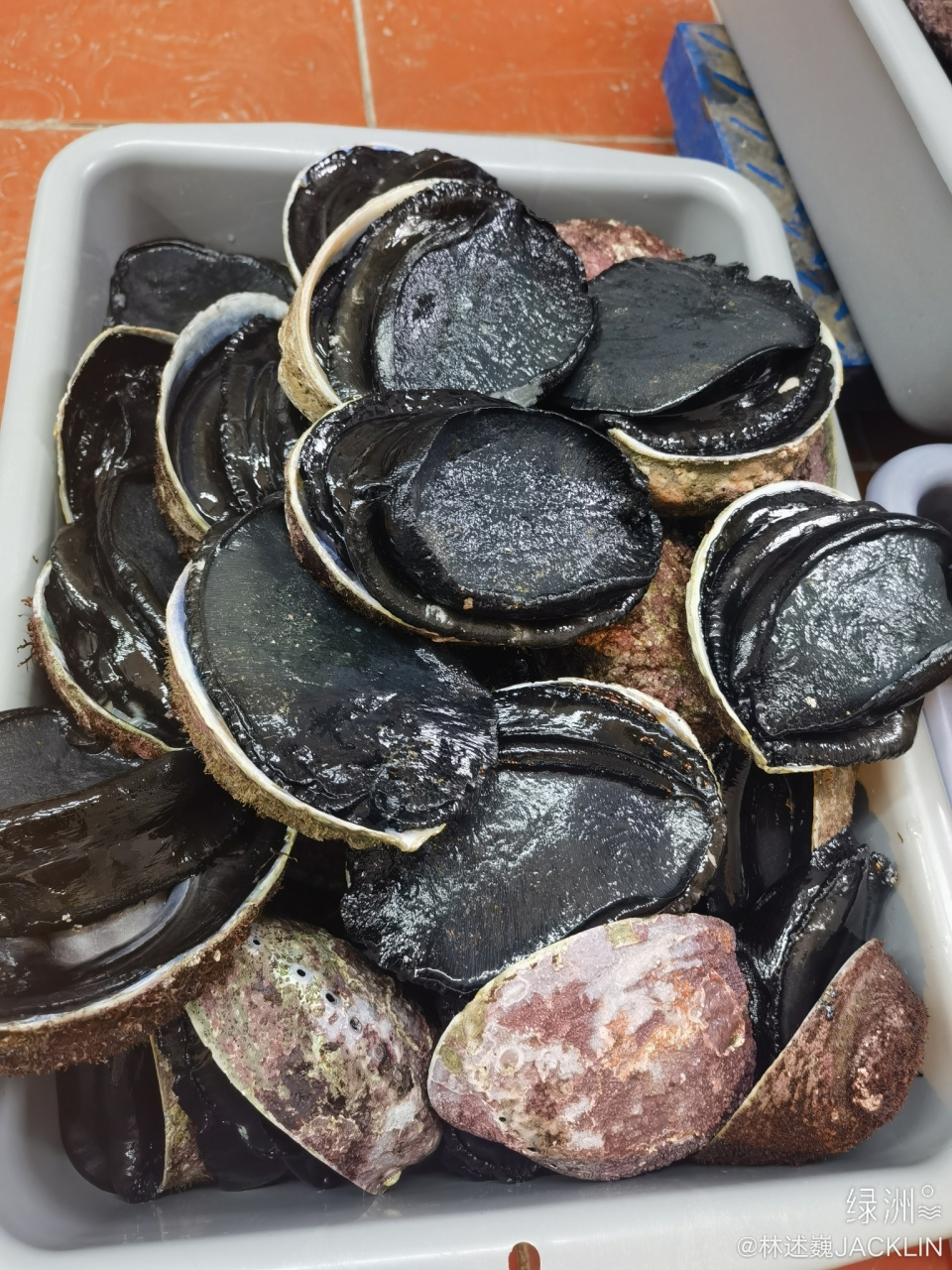 黑金鲍 正在准备100桌的晚宴! 等会就上菜.