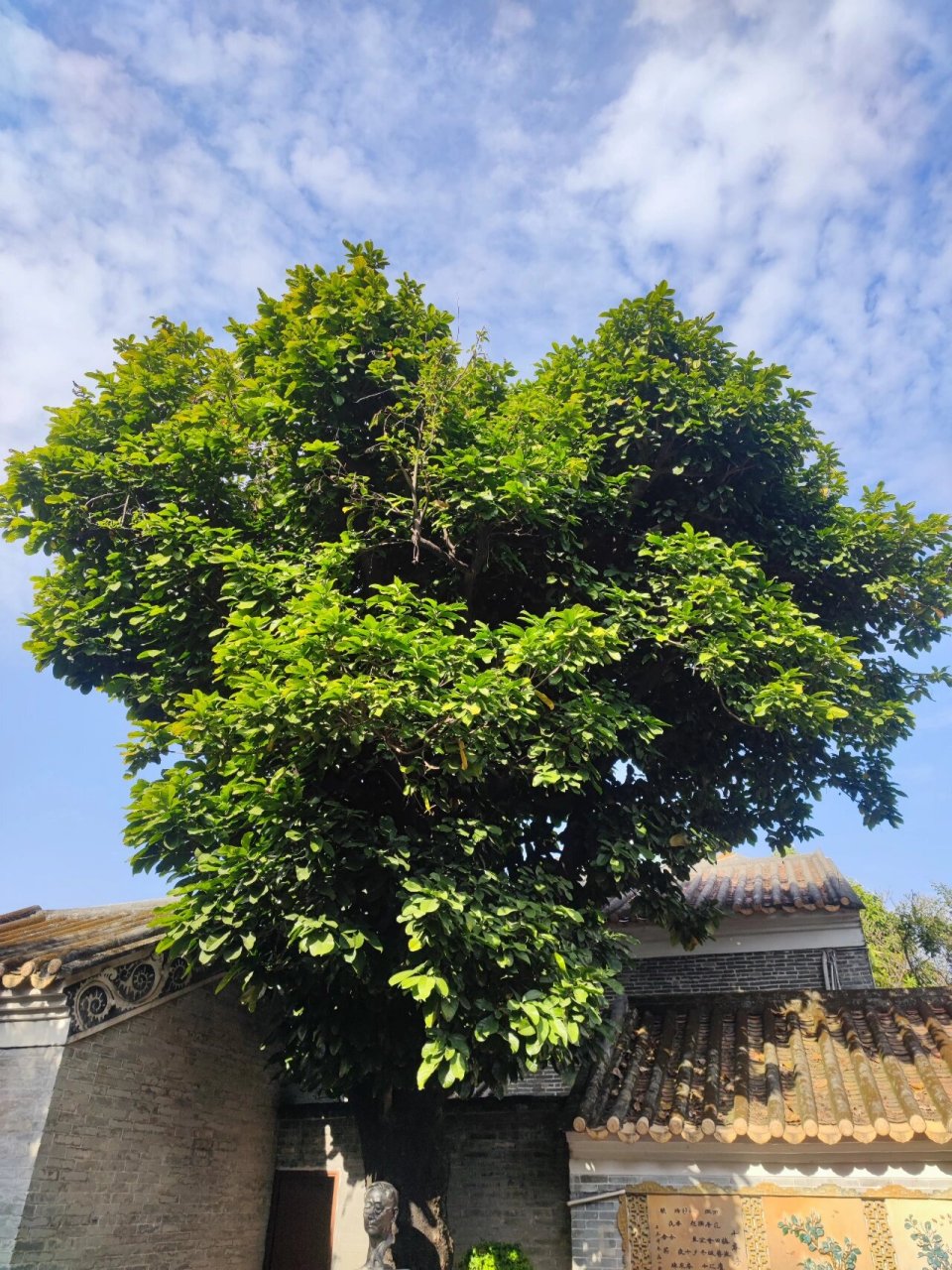 打卡|文人雅居——十香园纪念馆 十香园位于广州市海珠区怀德大街,建