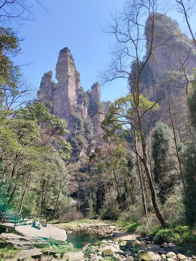 张家界市的国家aaaaa级景区——金鞭溪大峡谷是张家界的核心景区之一