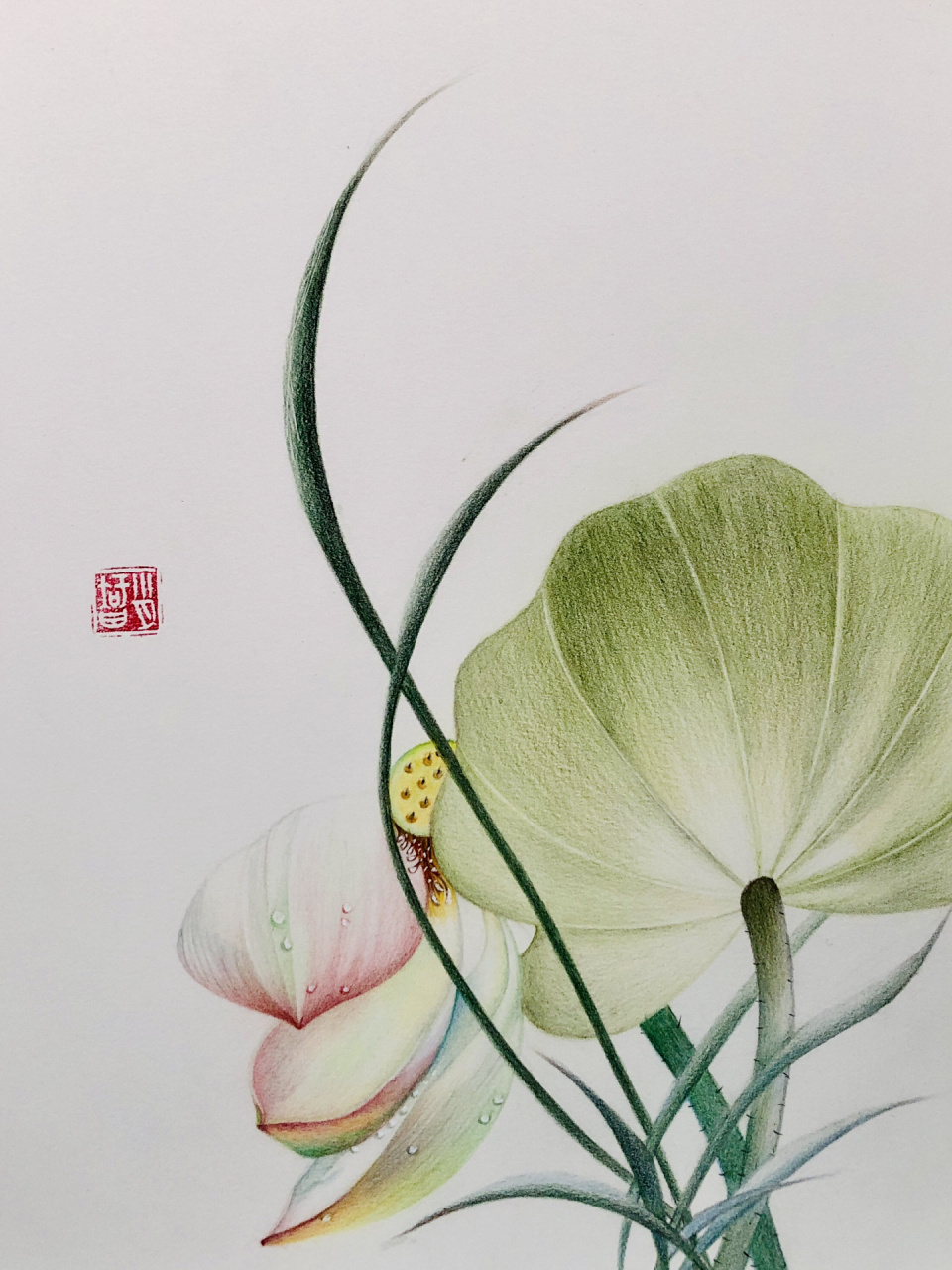 我的彩铅画304 97编号577(原创于北京樱花园),这幅比较简单,适合