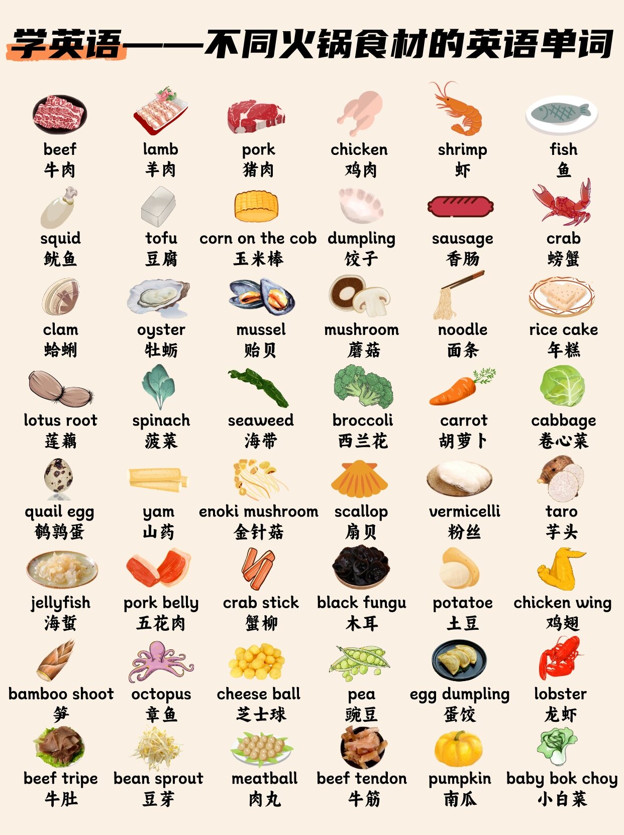 学英语——不同火锅食材的英语单词怎么说 学英语的