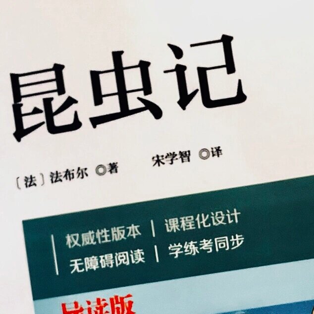 《昆虫记》——切叶蜂(中