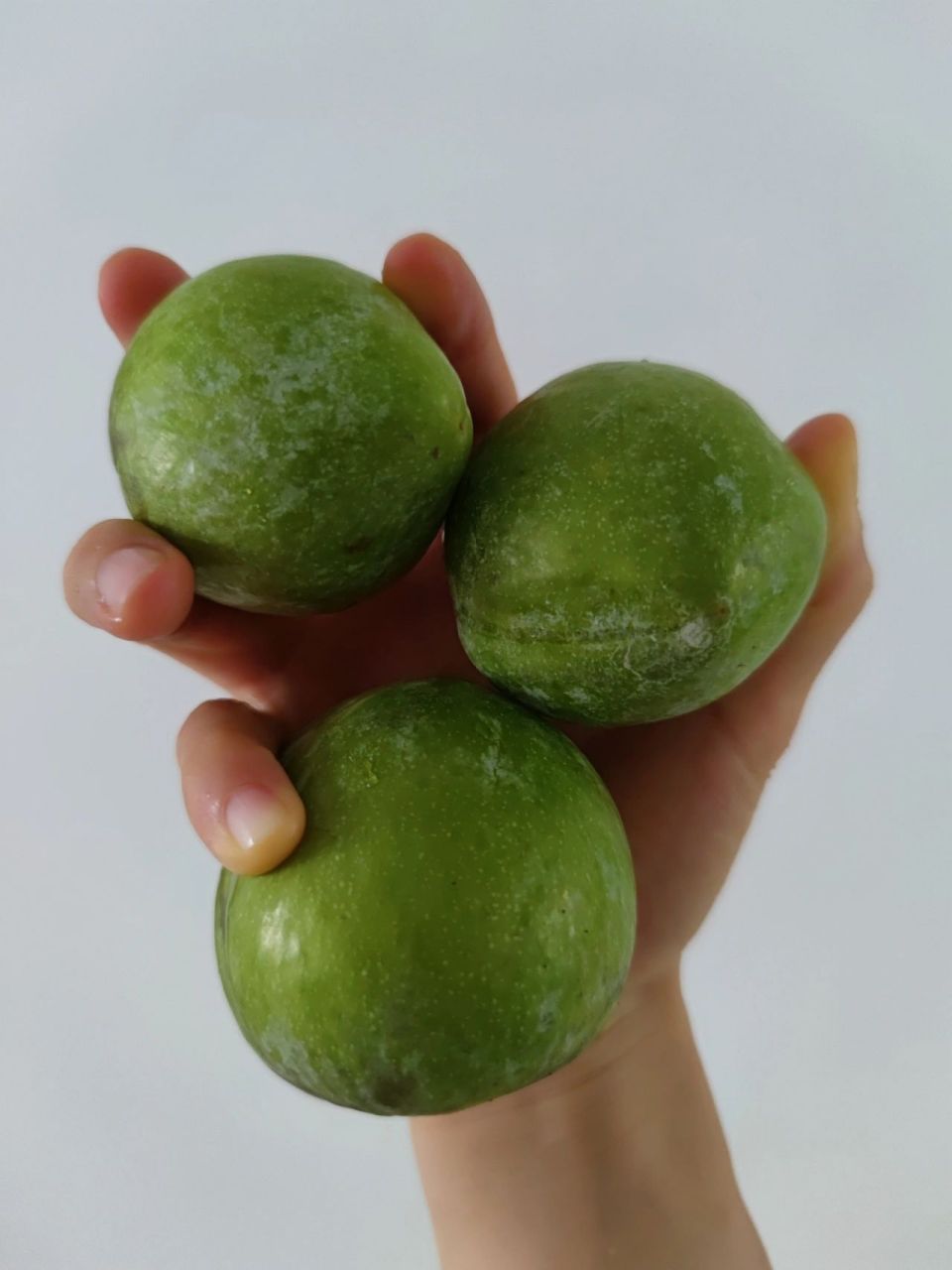 虽然青但一点都不酸 老家湖南的,小时候每到这个季节就能吃到奈李