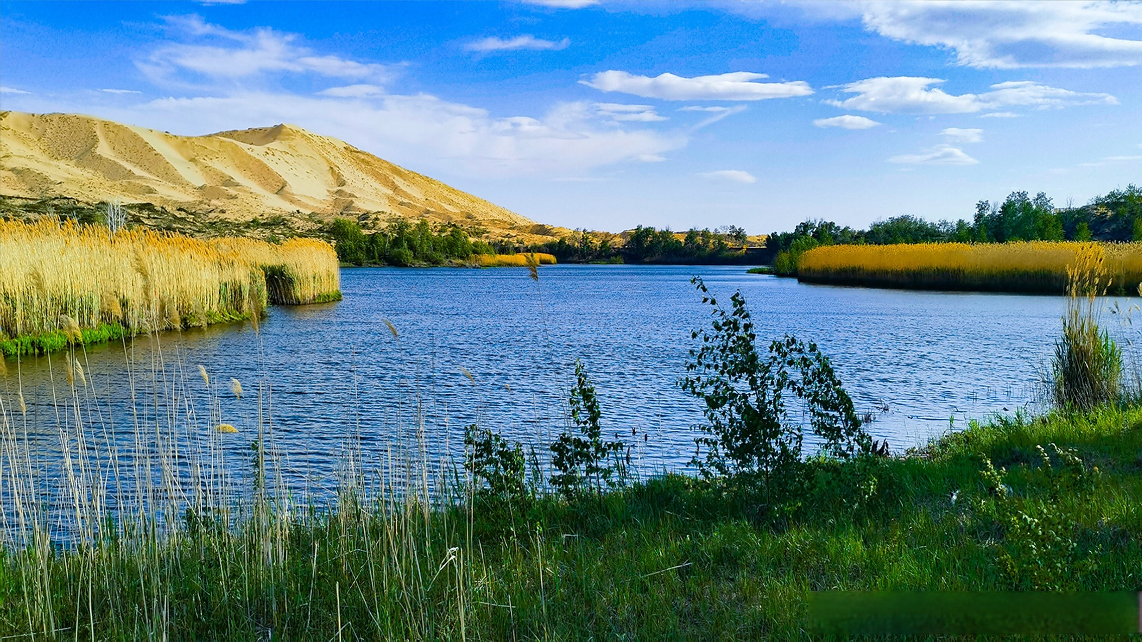 新疆哈巴河:沙丘环碧水 奇迹白沙湖 #2023新疆旅游发展大会# #一起为