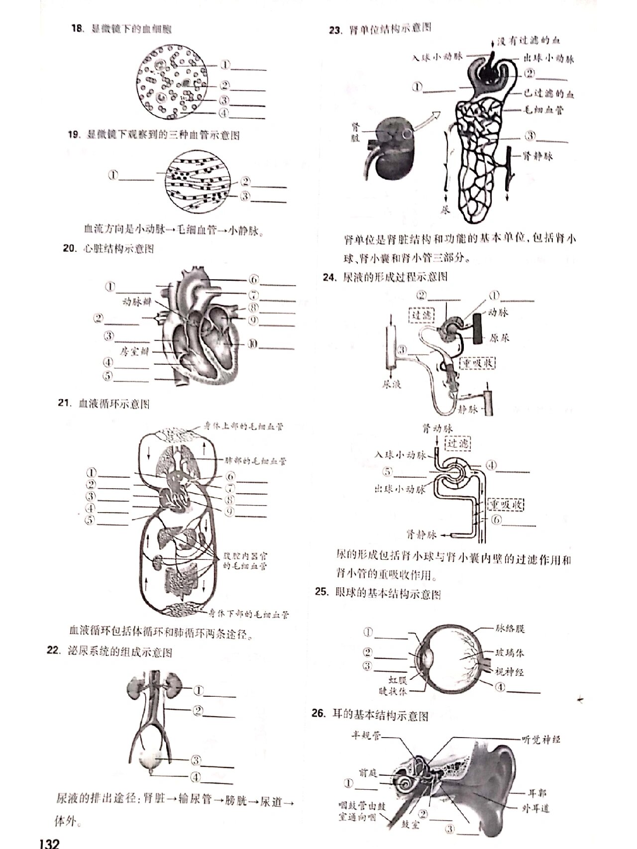 初中生物常考图片