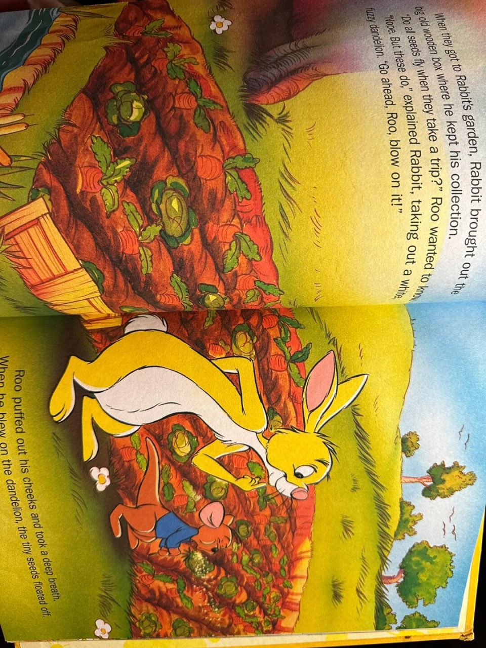 迪士尼袋鼠小豆绘本 9315岀 最近又入手一"天价"小豆周边 真的很