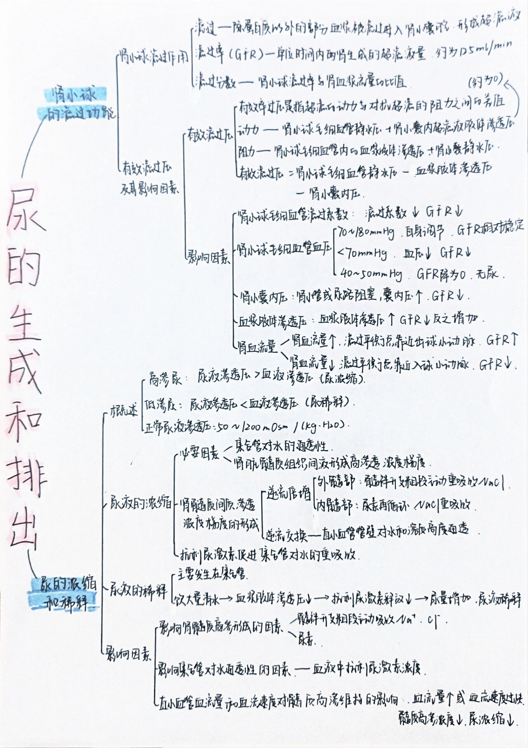 生理学第八章尿的生成和排出思维导图