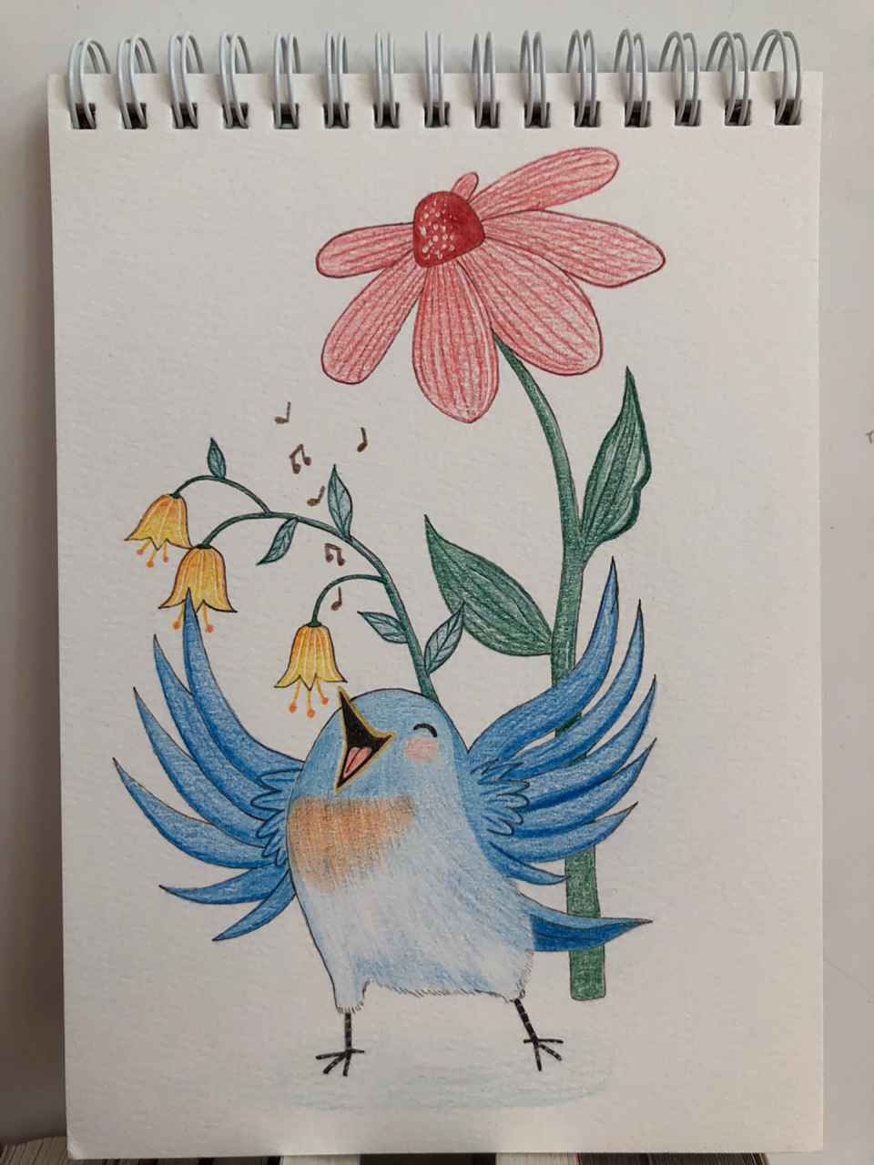 彩铅画|鸟语花香95(附线稿)      临摹自网络图片