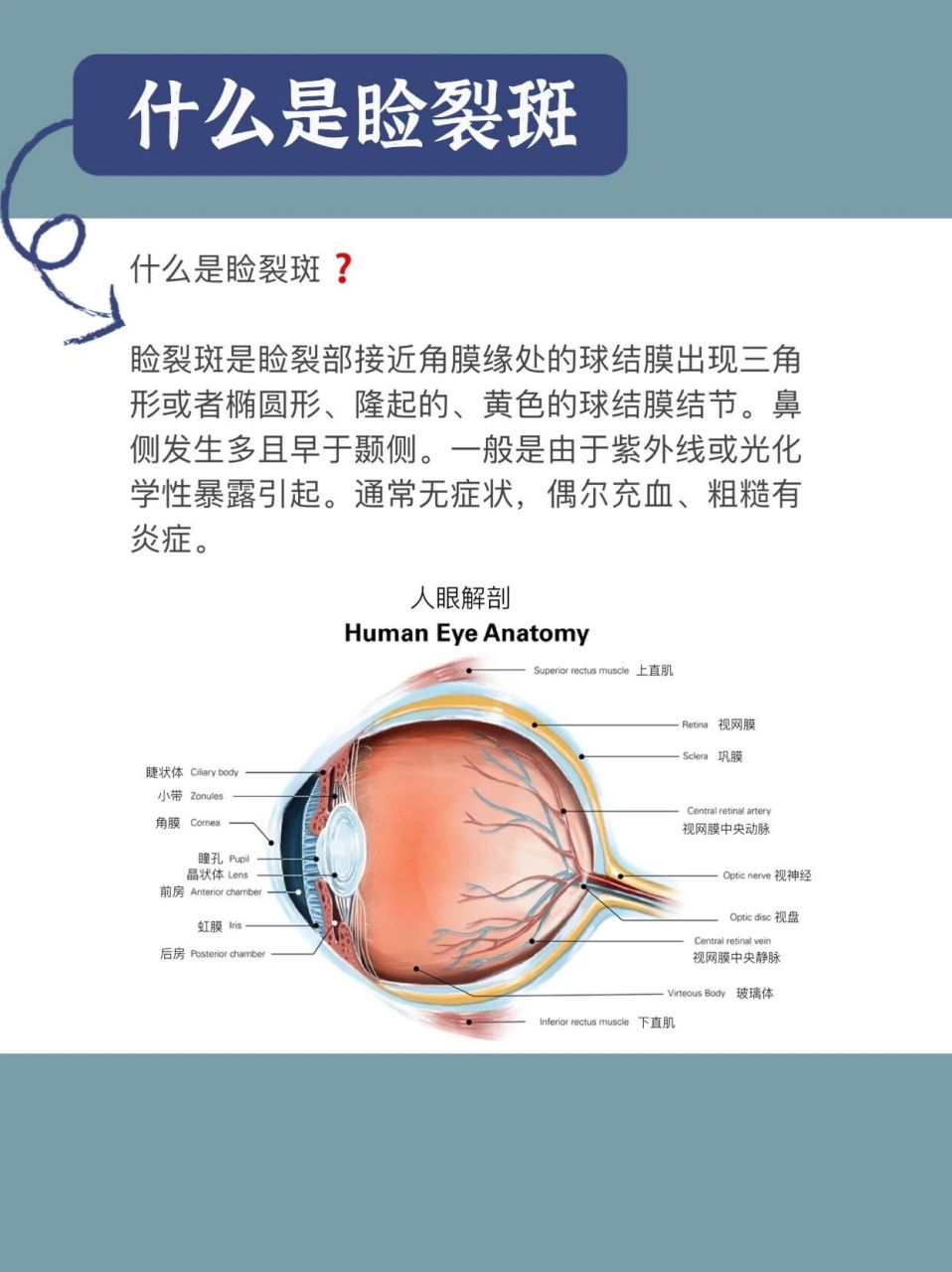 睑结膜正常颜色图片