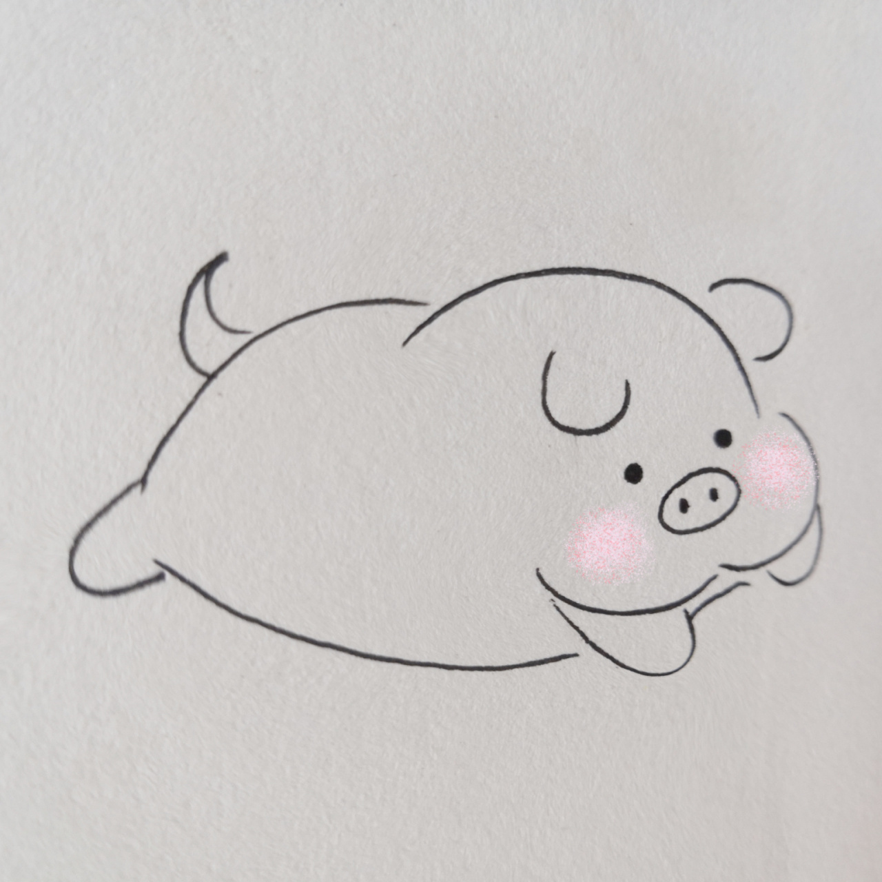 简笔画|可爱小猪  一起来画画吧