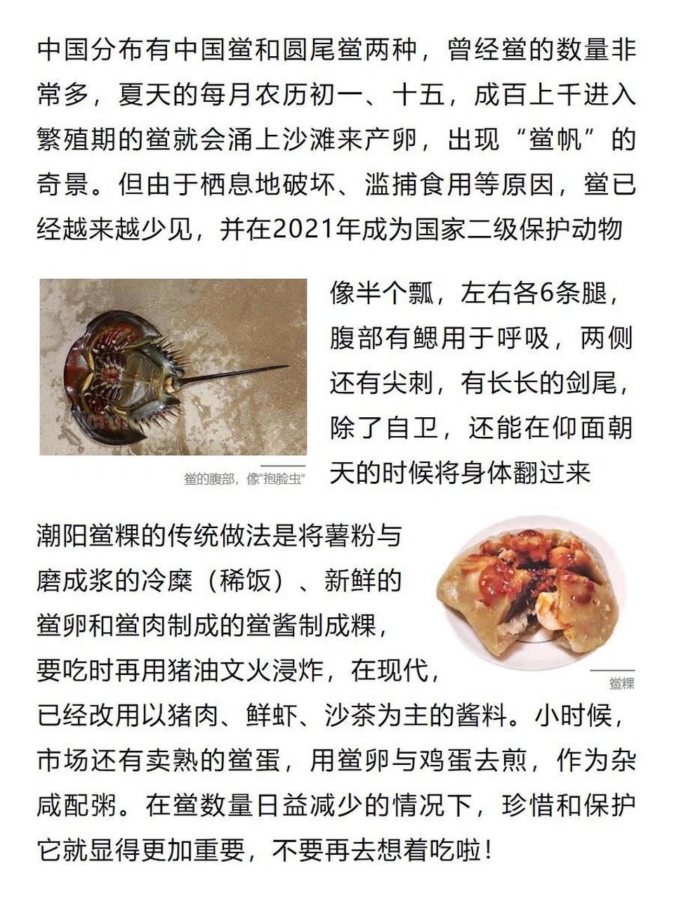 吃过鲎  	 今天分享一个神奇的动物,鲎 之前在潮汕可是很常见的哦