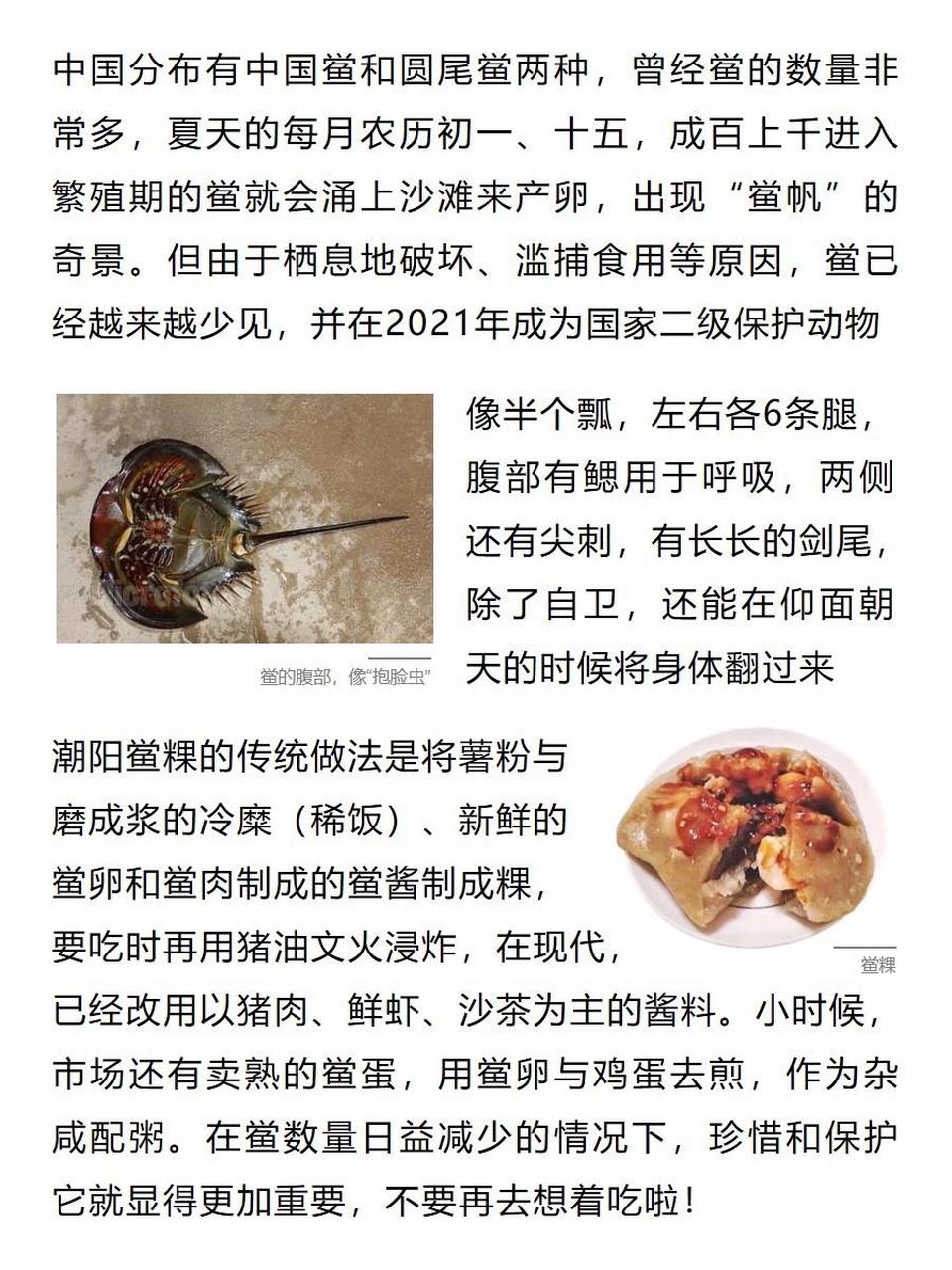 吃鲎犯法吗图片