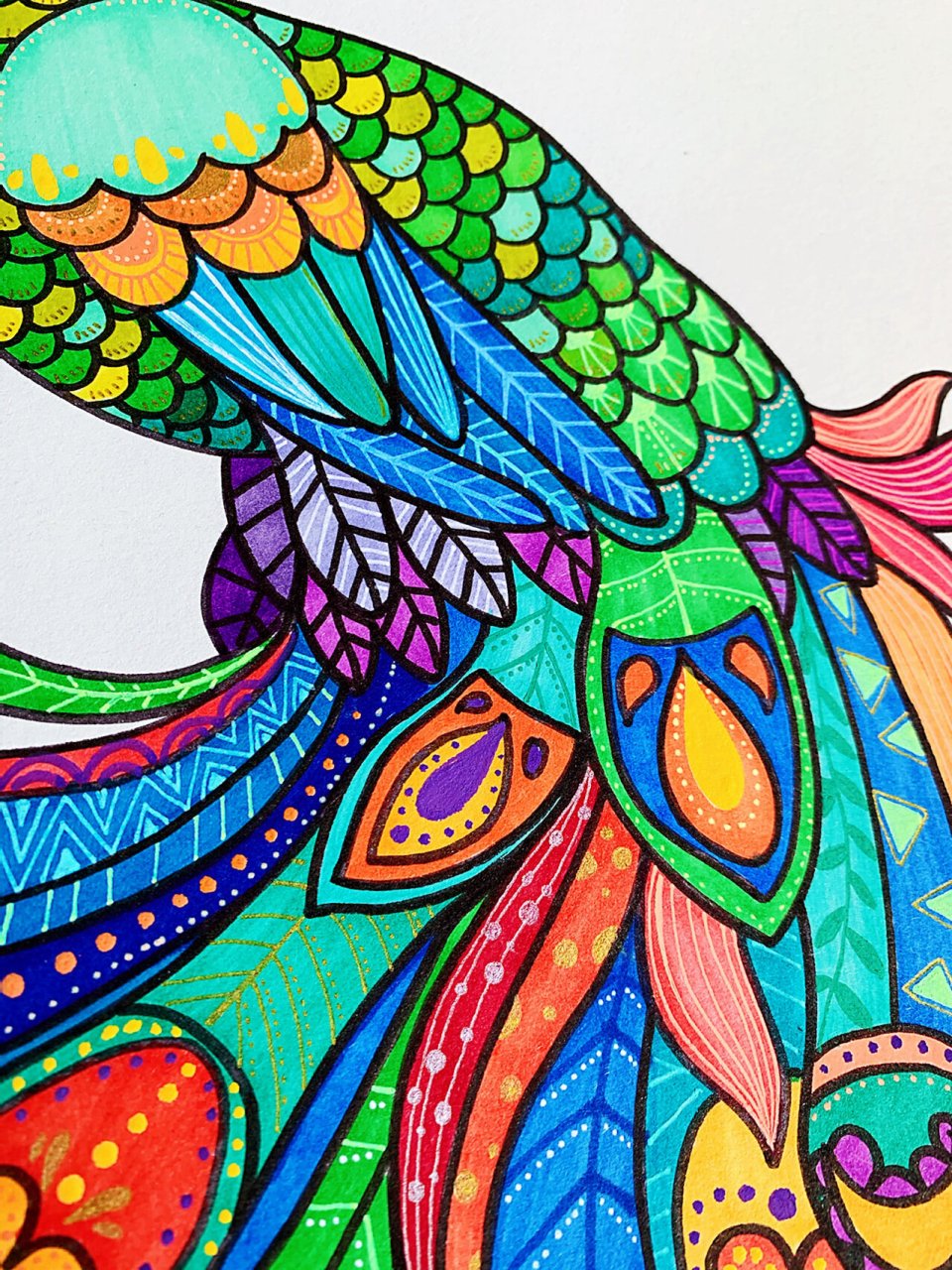 儿童绘画课程教学—《孔雀》 想画孔雀好久了 一直没下手,感觉太难