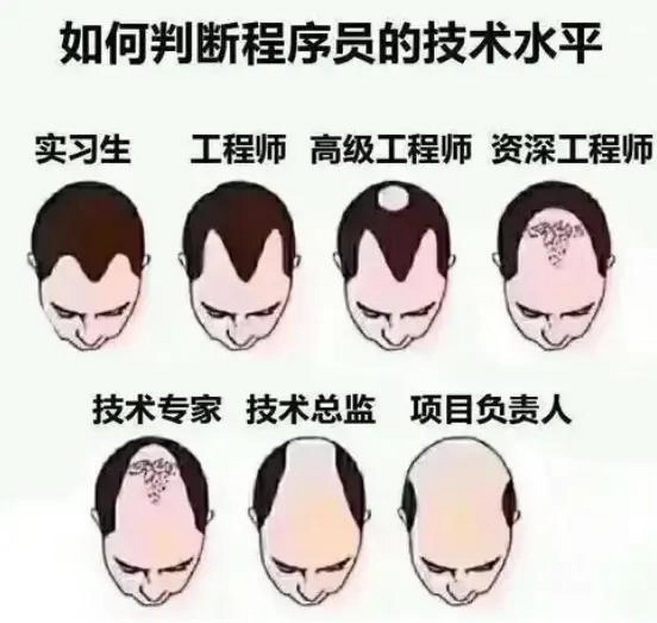 在大家印象里,程序员大多是秃顶,格子衫,大裤衩,其实真不是这样的,一