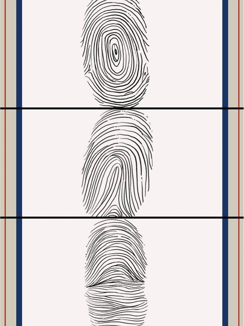 法医秦明 97箕形纹(图2):指纹类型之一,指上方有诸多平行的类似