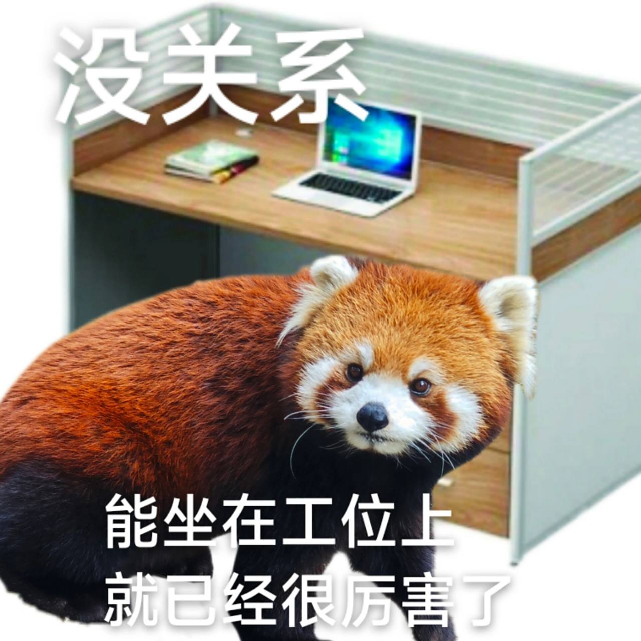 小熊猫表情包    工作好烦为什么要工作