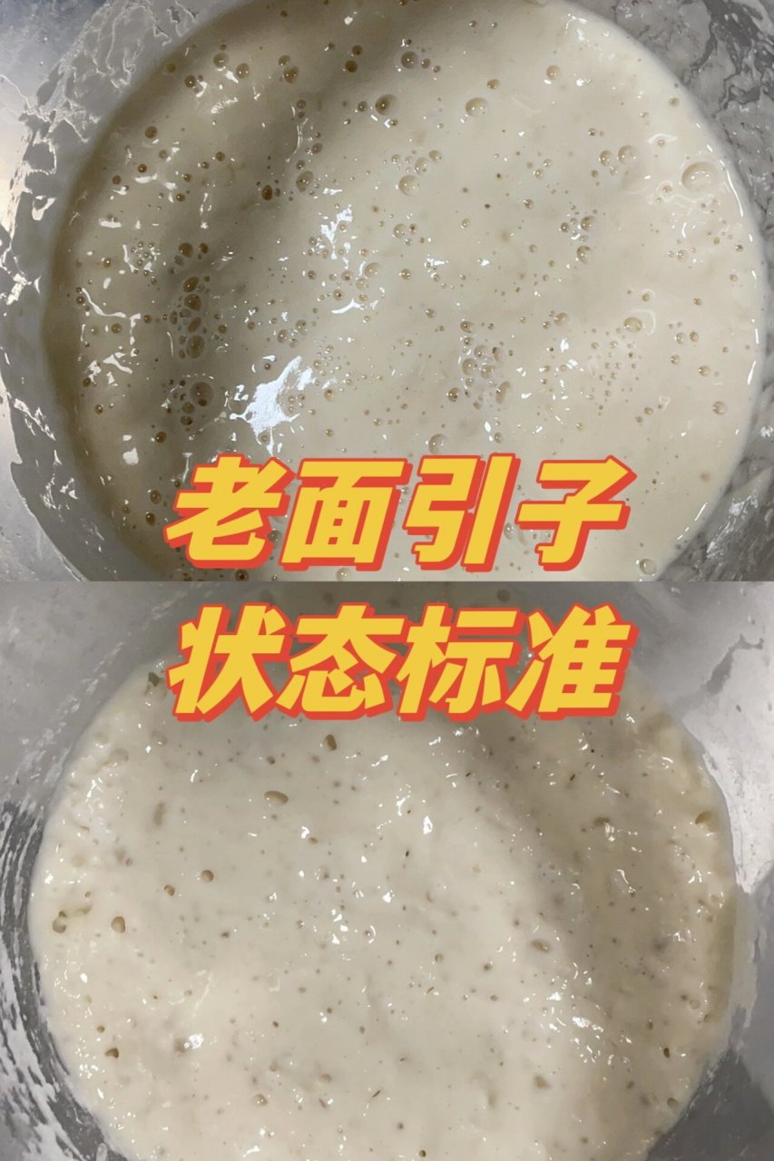 农村自制酵母引子图片