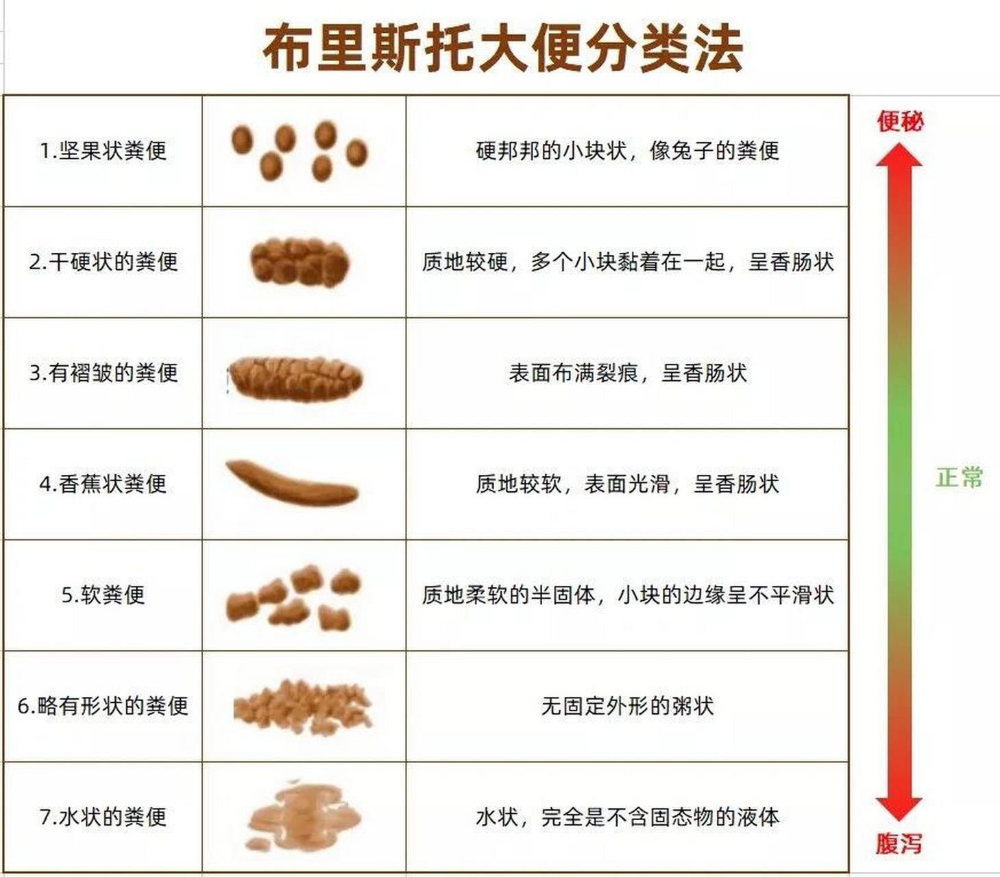 大便有褶皱图片