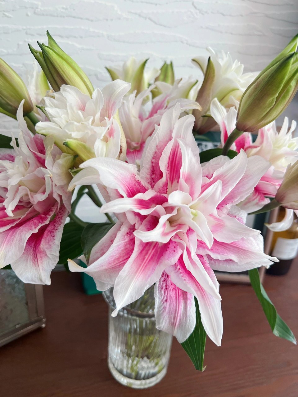 三头重瓣百合伊莎贝拉 94花语:高贵伟大的爱,纯洁,梦幻.