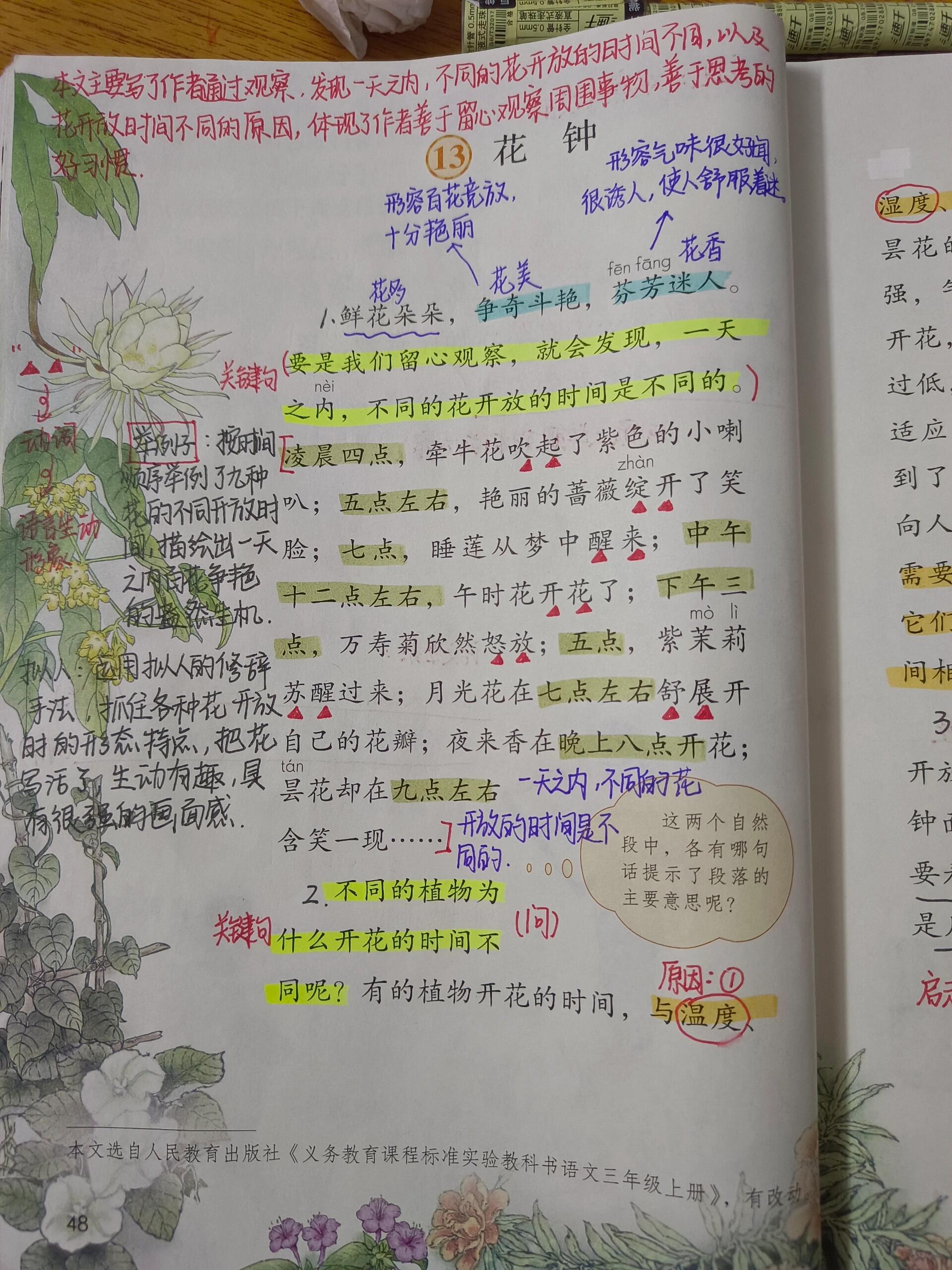 语文三年级下册13课《花钟》