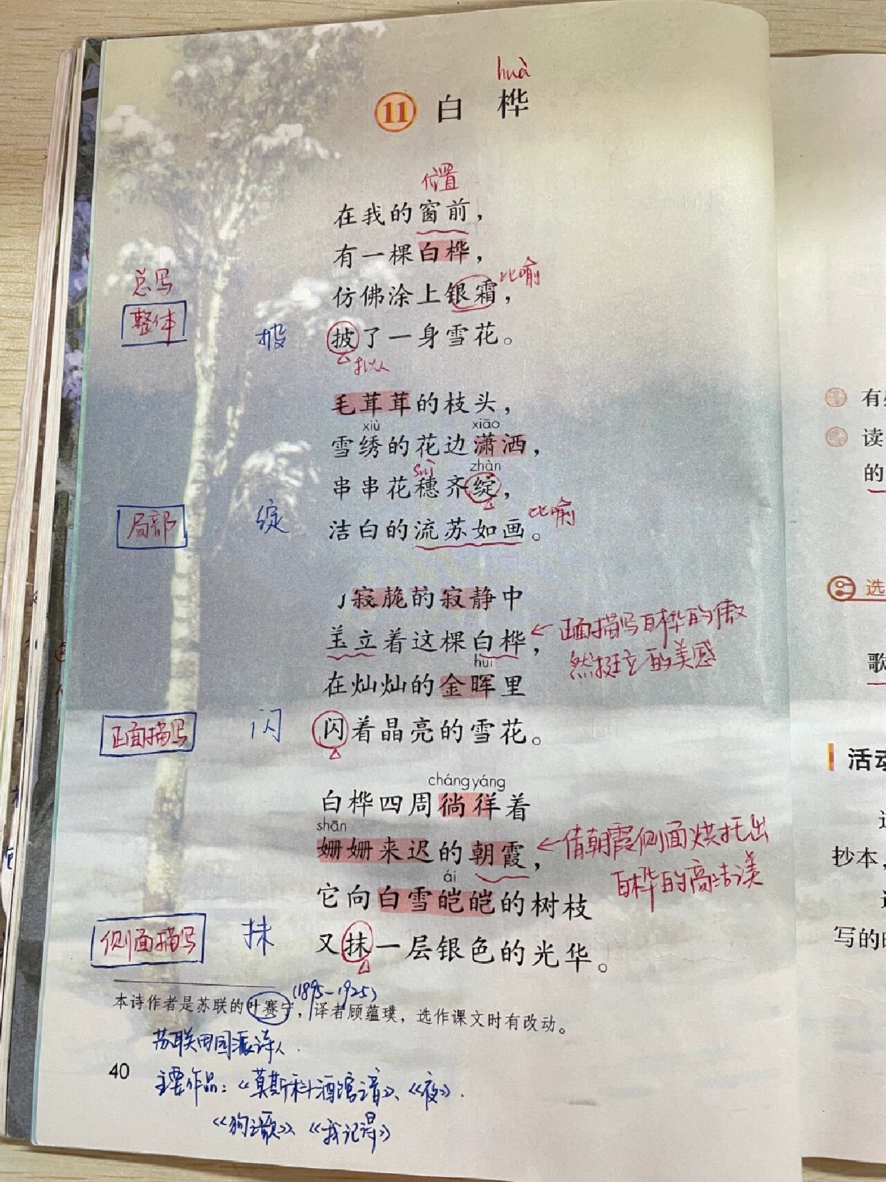 四年级语文下册|白桦 作者简介98 叶赛宁(1895-1925)苏联田园派诗人