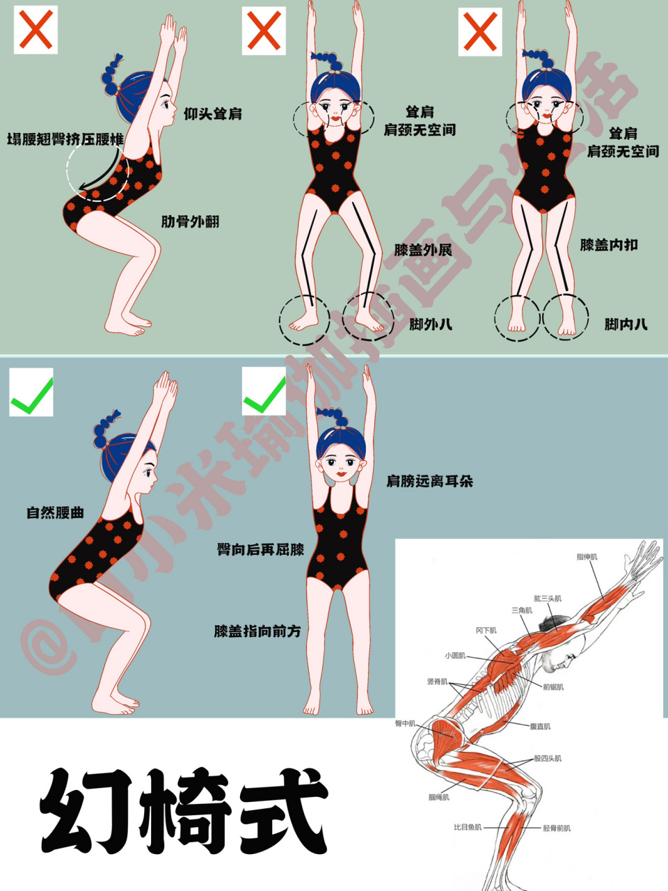 瑜伽|幻椅式(正位细节 错误合集 肌肉 体式) 最近保持更新#白小米瑜伽