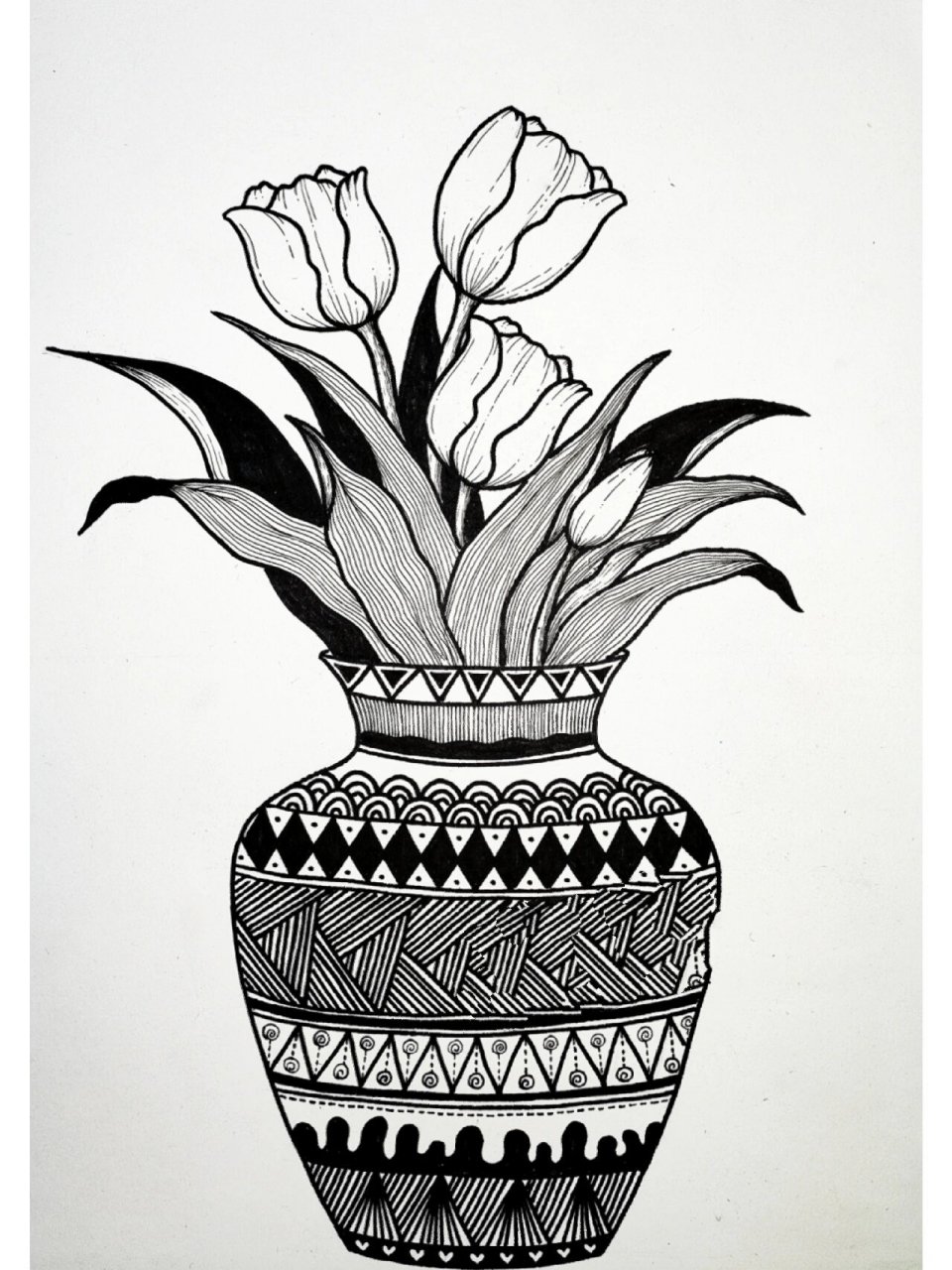 雅趣|分享66幅线描画—郁金香93①⑧ 93333734 3930