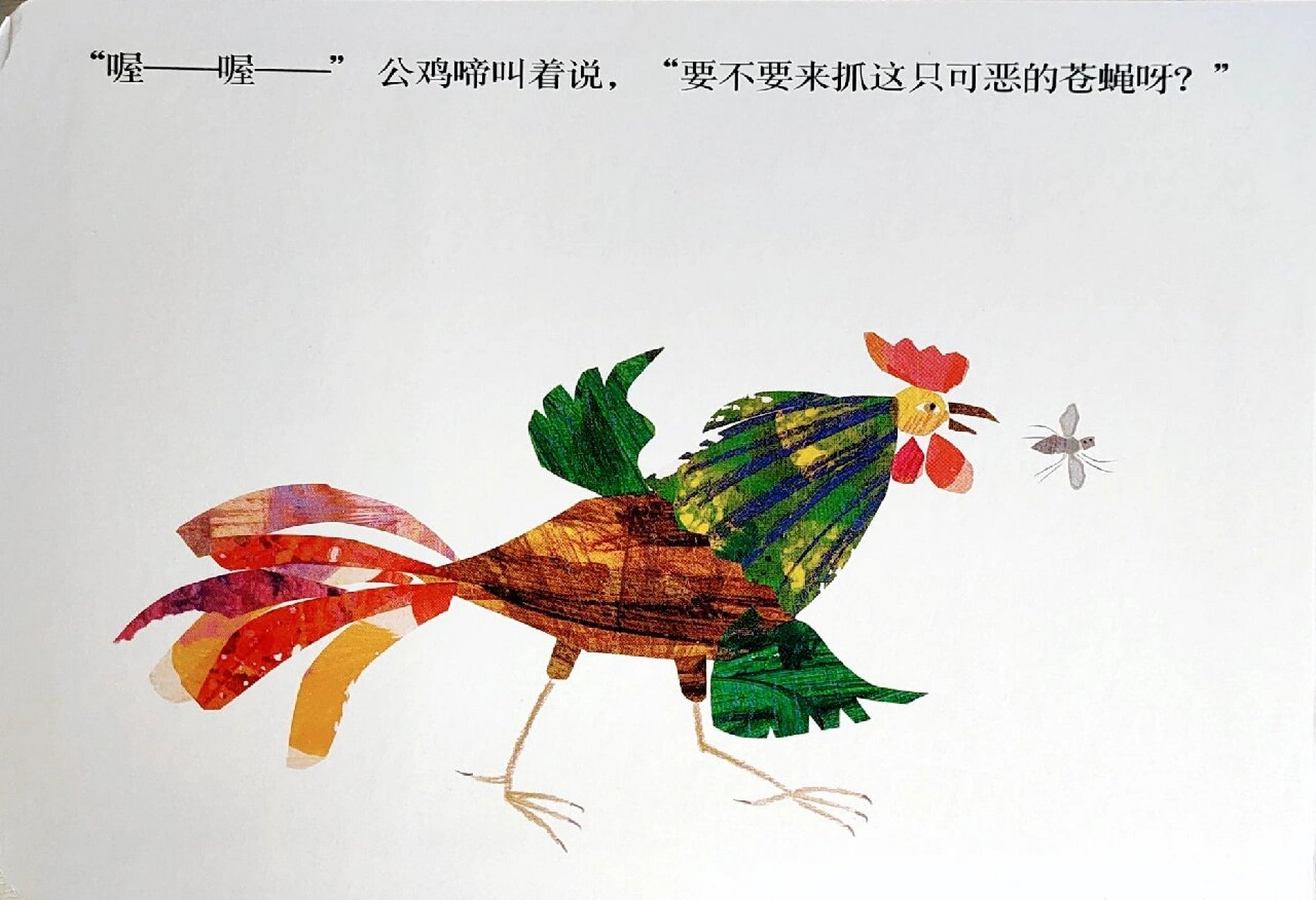 跟着《好忙的蜘蛛》,进行一次专注力之旅 92人生中的一些抉择,虽然