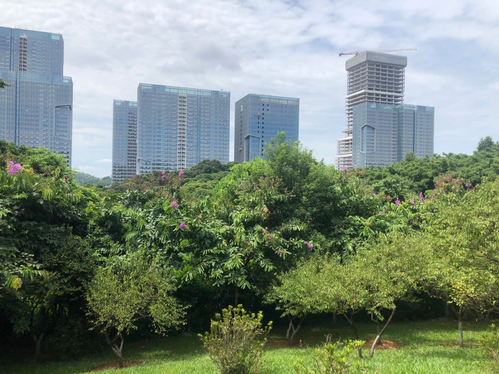 广州科学城好去处     科学城体育公园/玉树公园 雨后的广州,去办事