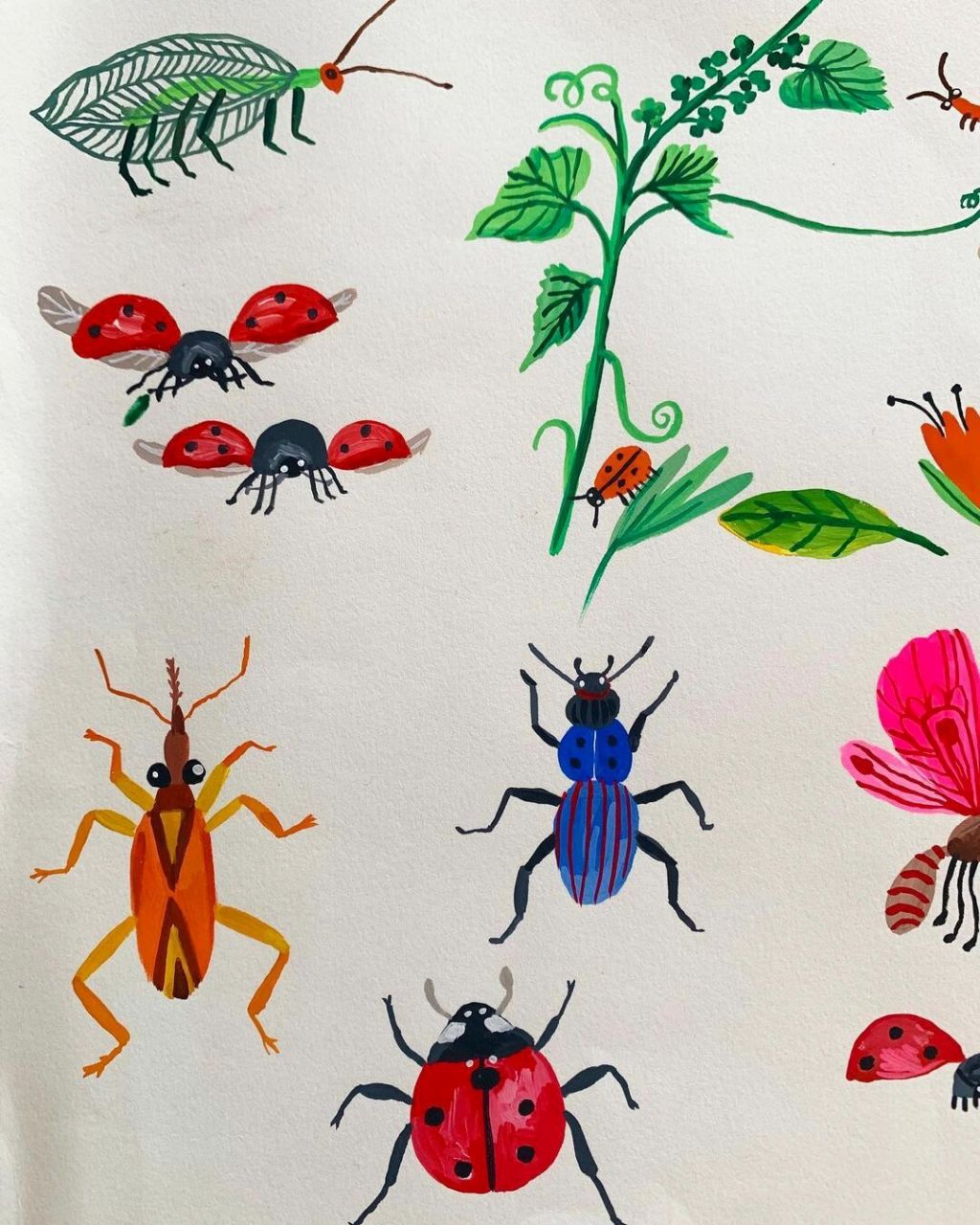 跟carolyn gavin学用彩色画昆虫