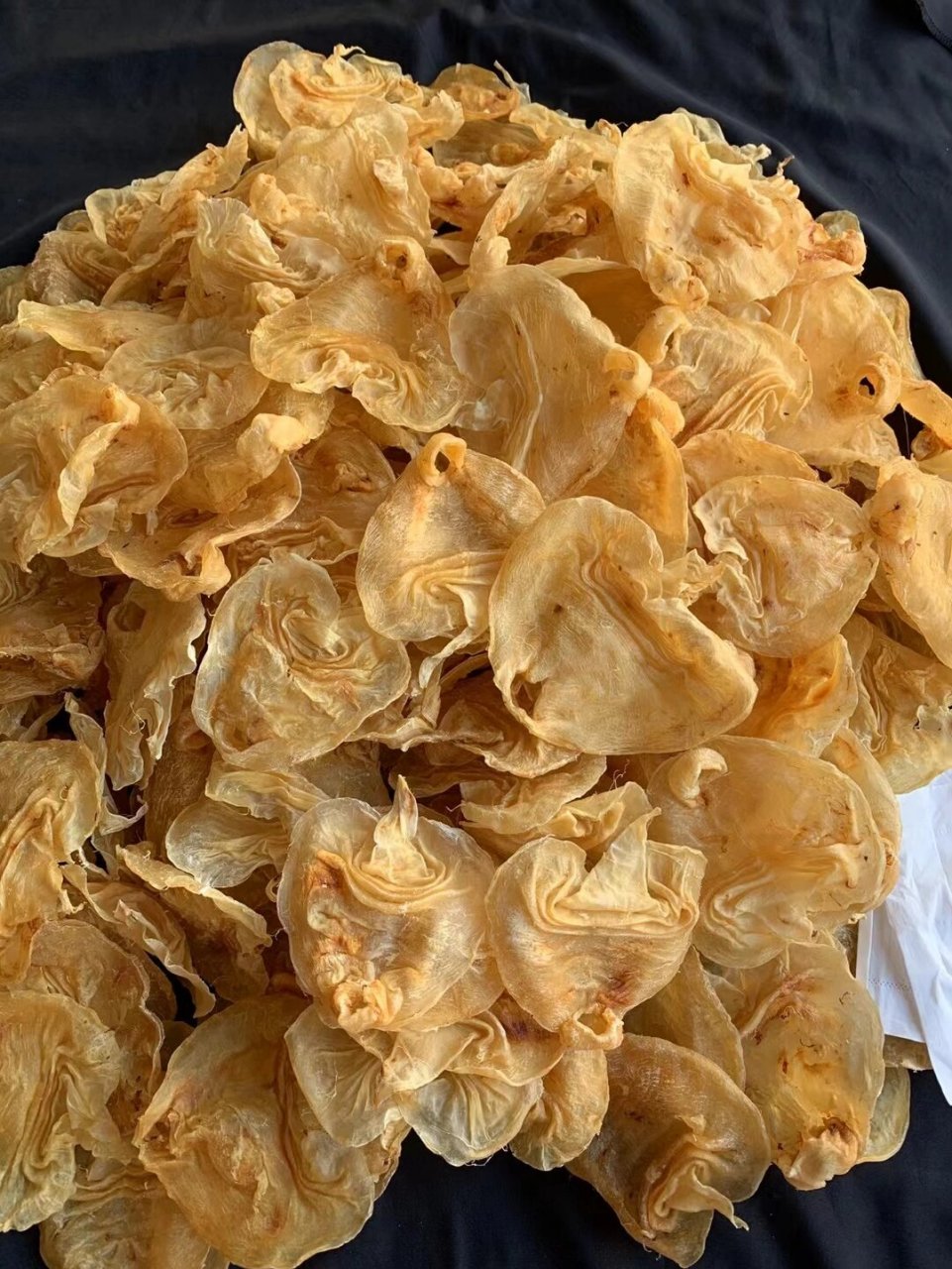 玻璃肉质, 厚肉,干度好, 口感清淡不腥, 性价比超高的一款鳘鱼胶