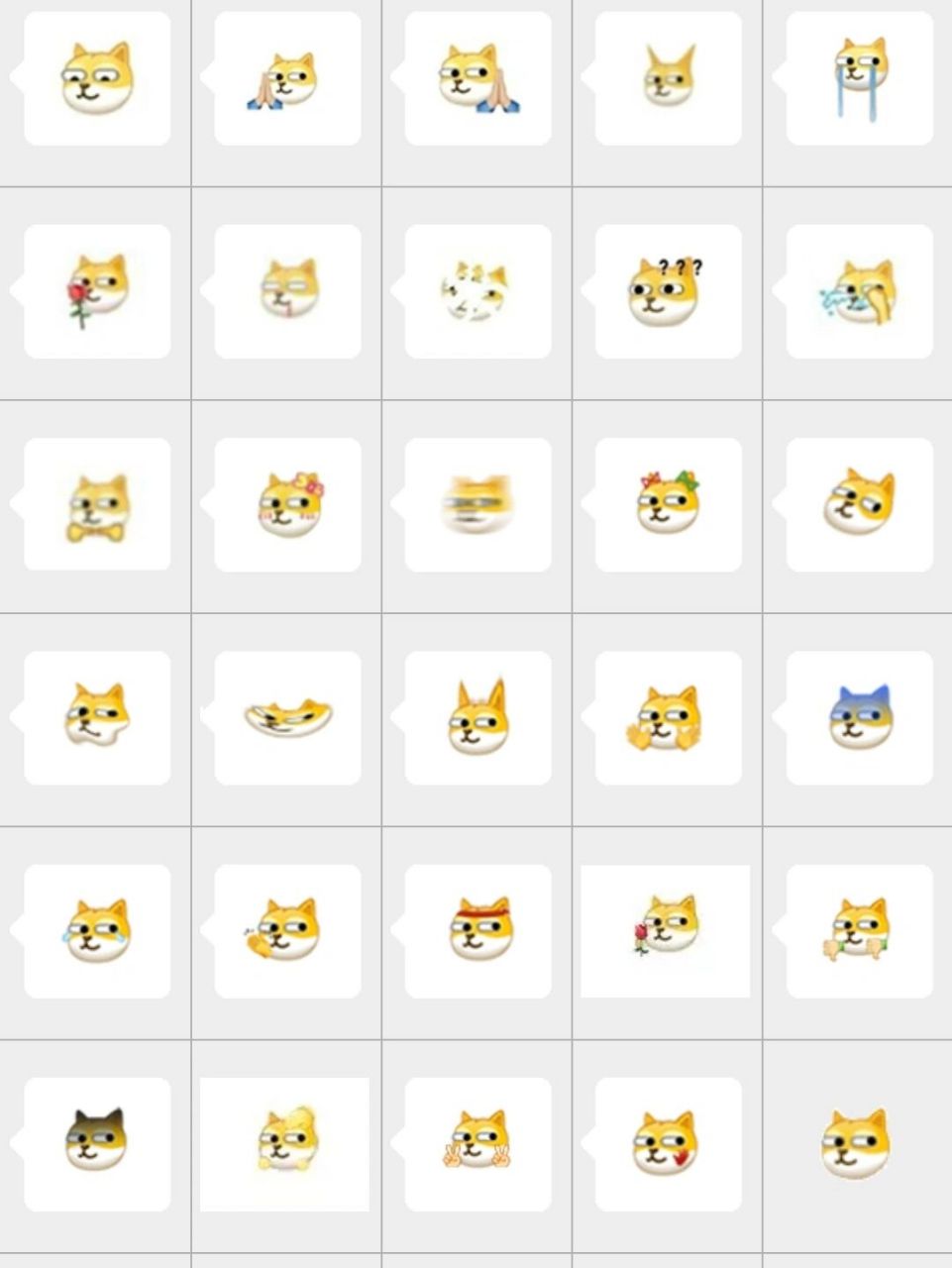 今日份狗头 微信表情 求图的搜微信表情包套路社里面有,或者私信我加