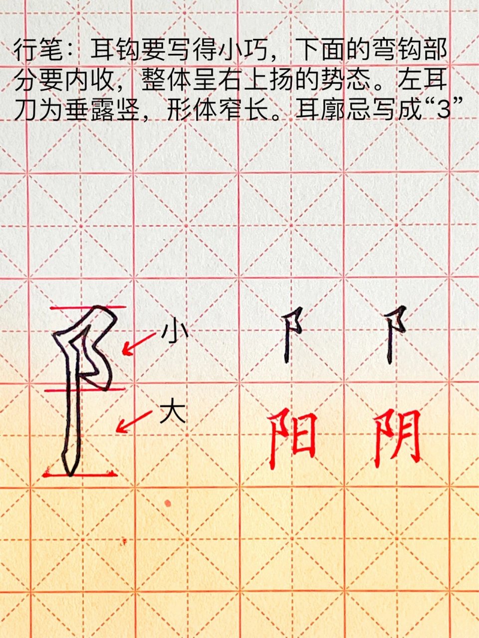 偏旁部首:左耳刀 一起学写字