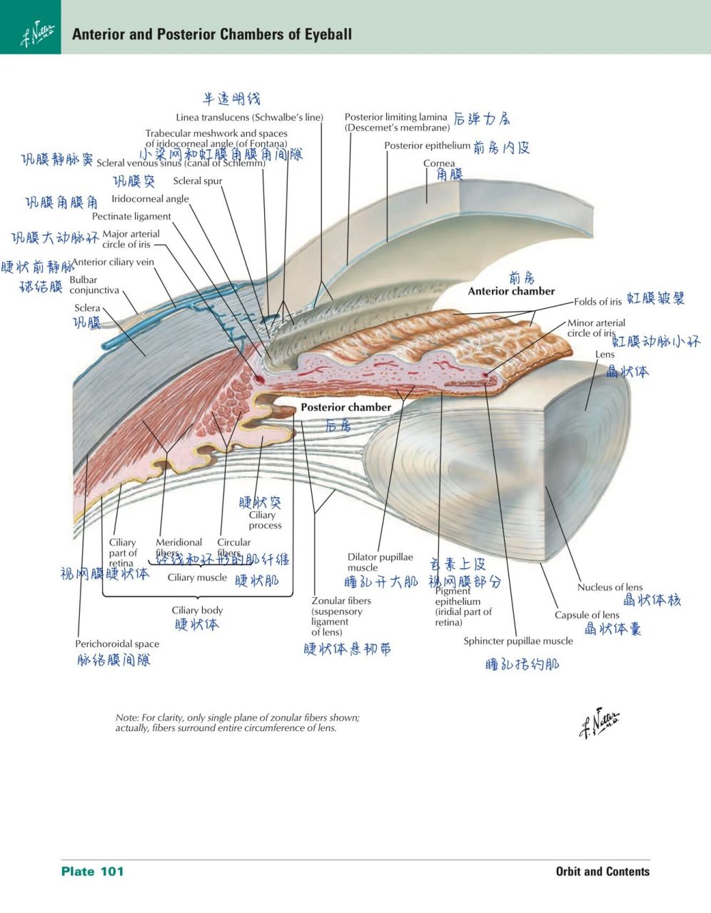 眼科学