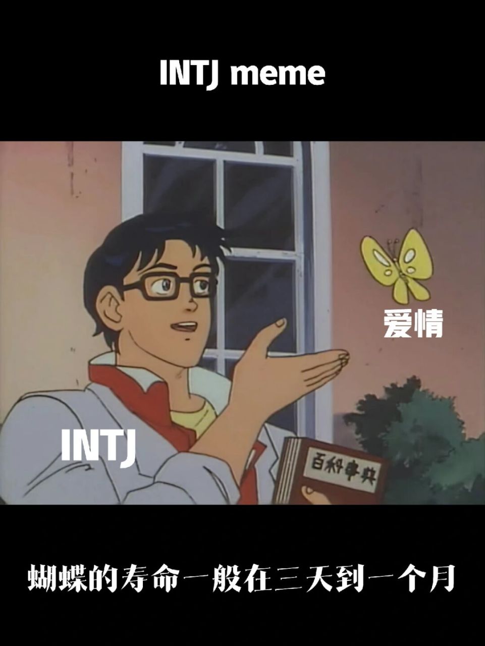 intj:蝴蝶的寿命一般在三天到一个月,没准蝴蝶都比爱情长寿.