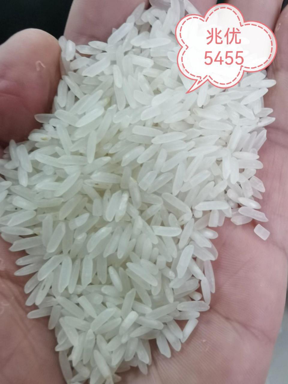 鄂香二号香米,兆优5455,小颗粒黄花粘,卖点干货.