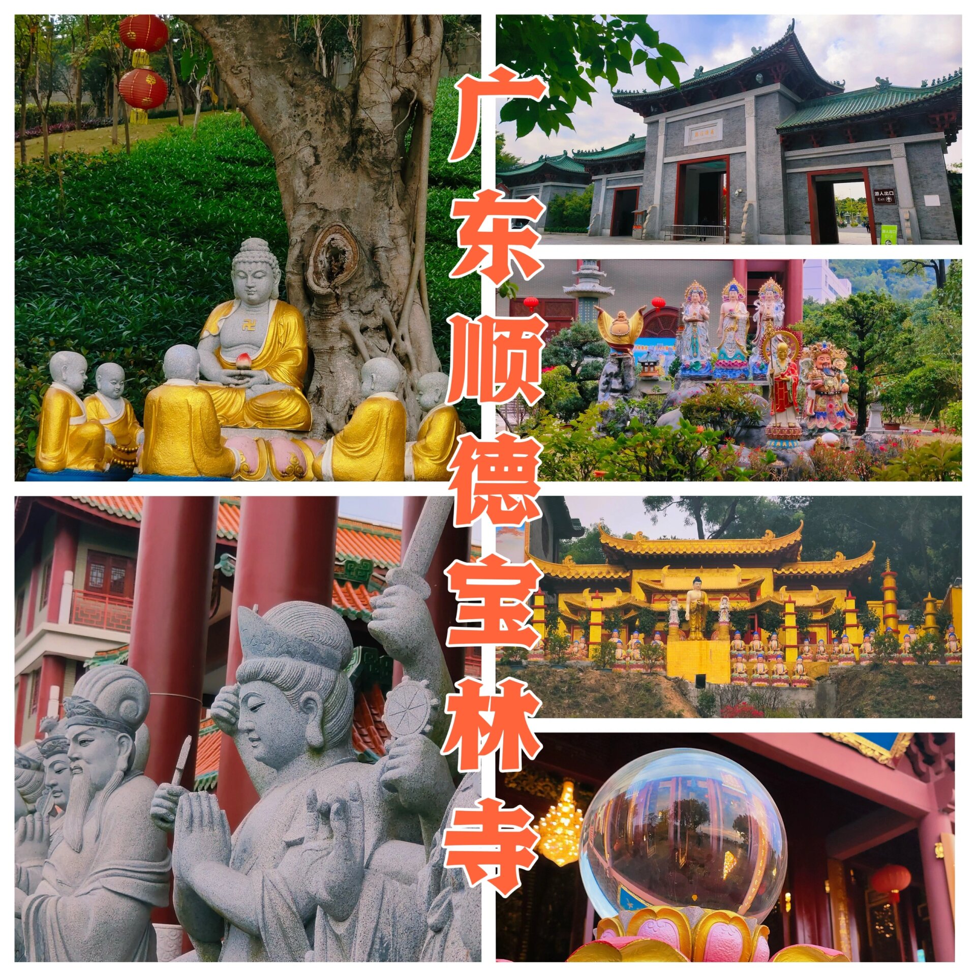 顺德宝林寺门票图片