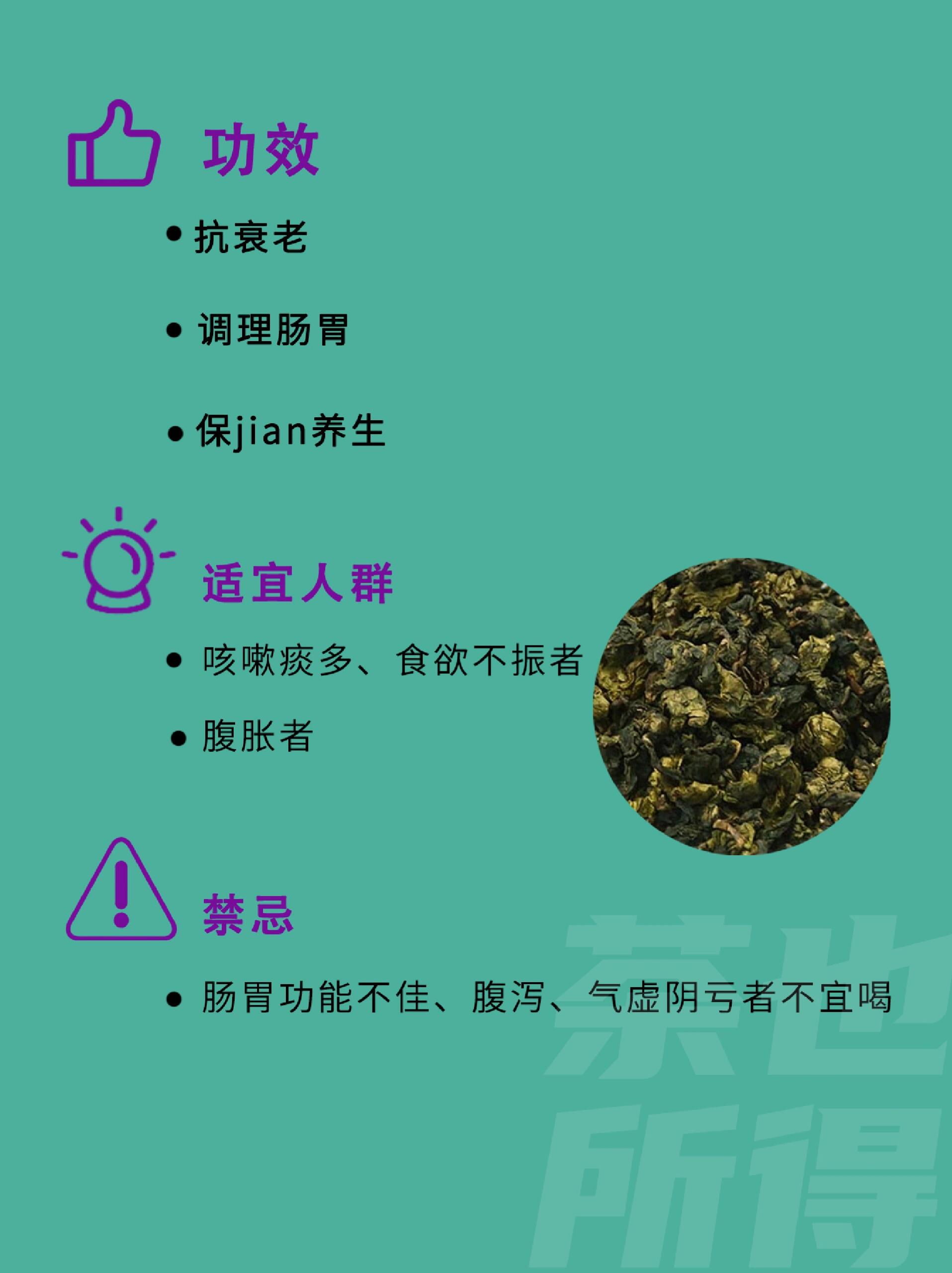 永春佛手| 每天认识一款茶95