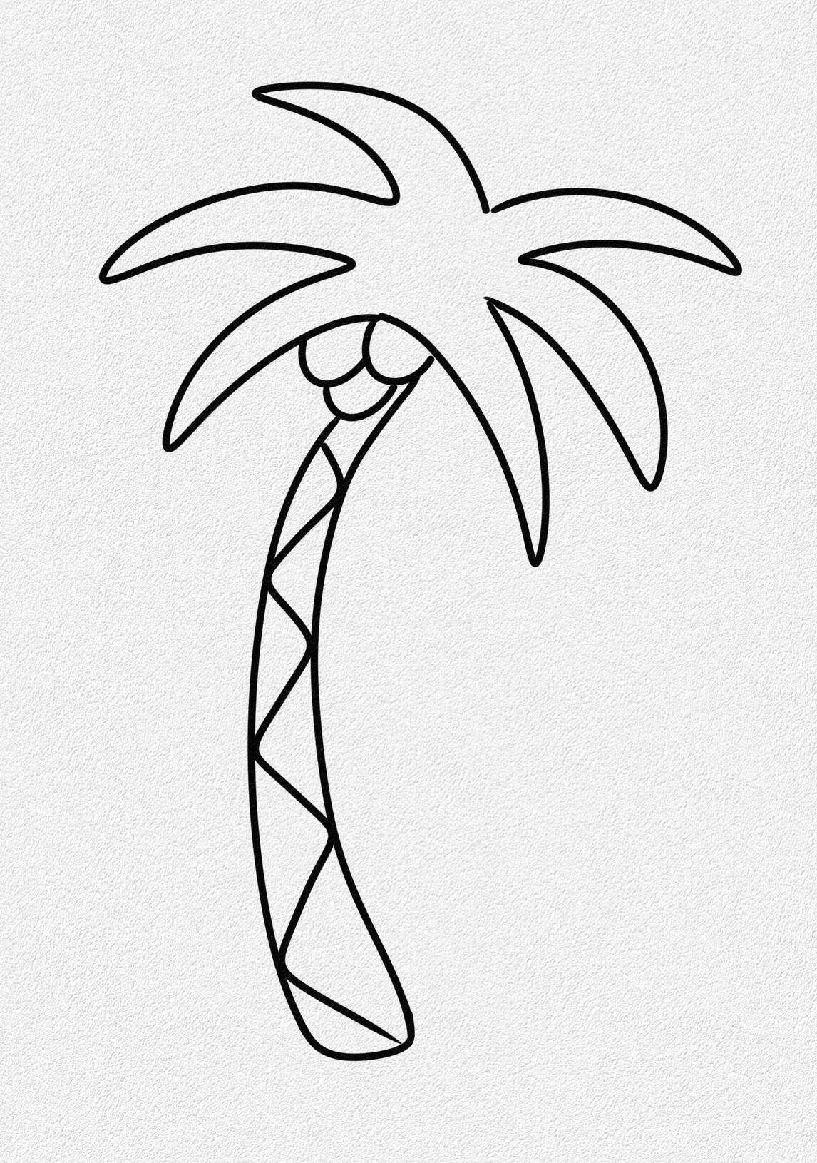 简笔画—椰子树