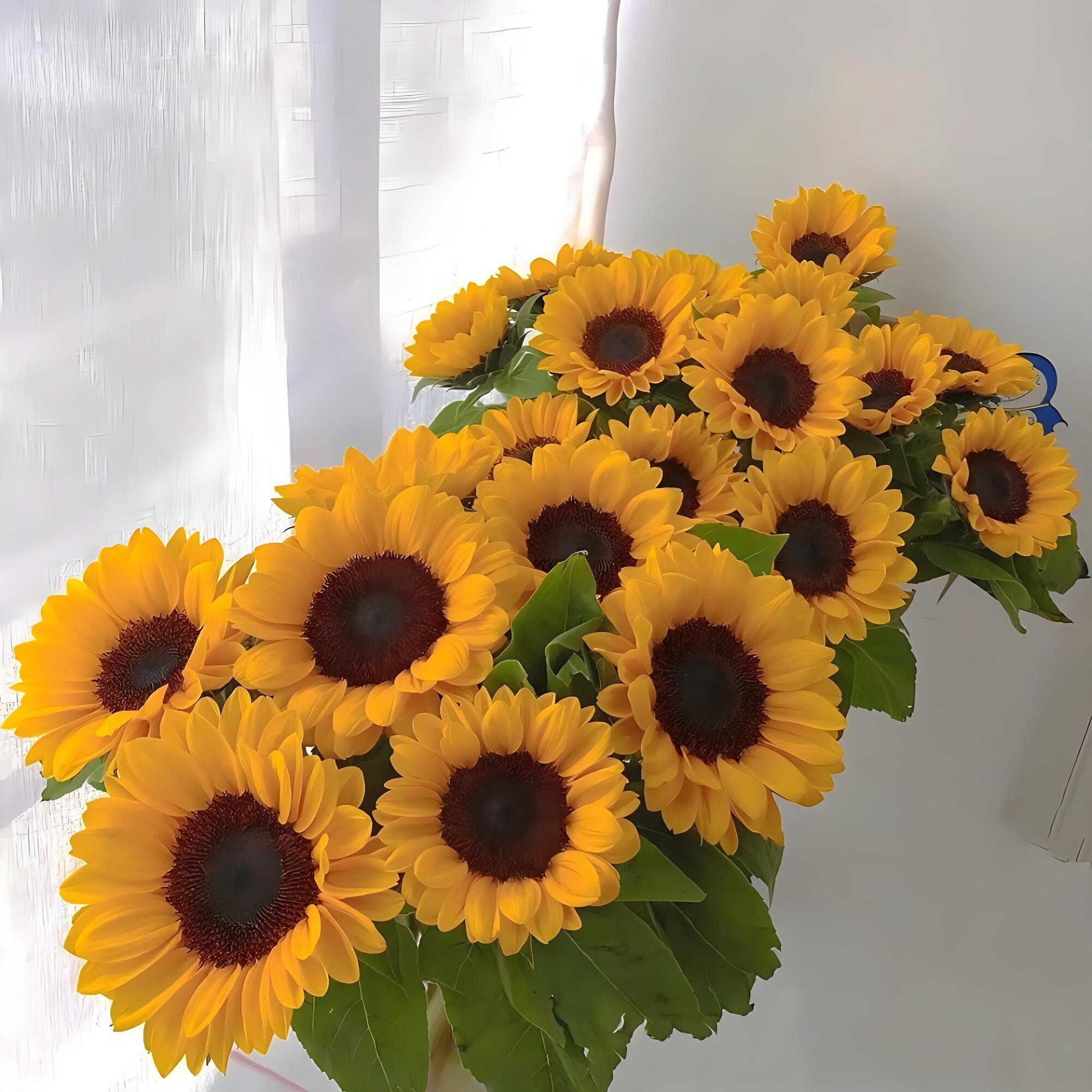 向日葵微信头像