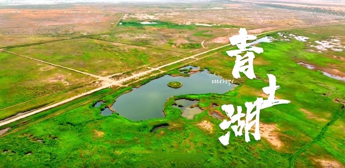 是时候去甘肃旅游了# 民勤县境内的青土湖宛如洒落在人间的"银河水"