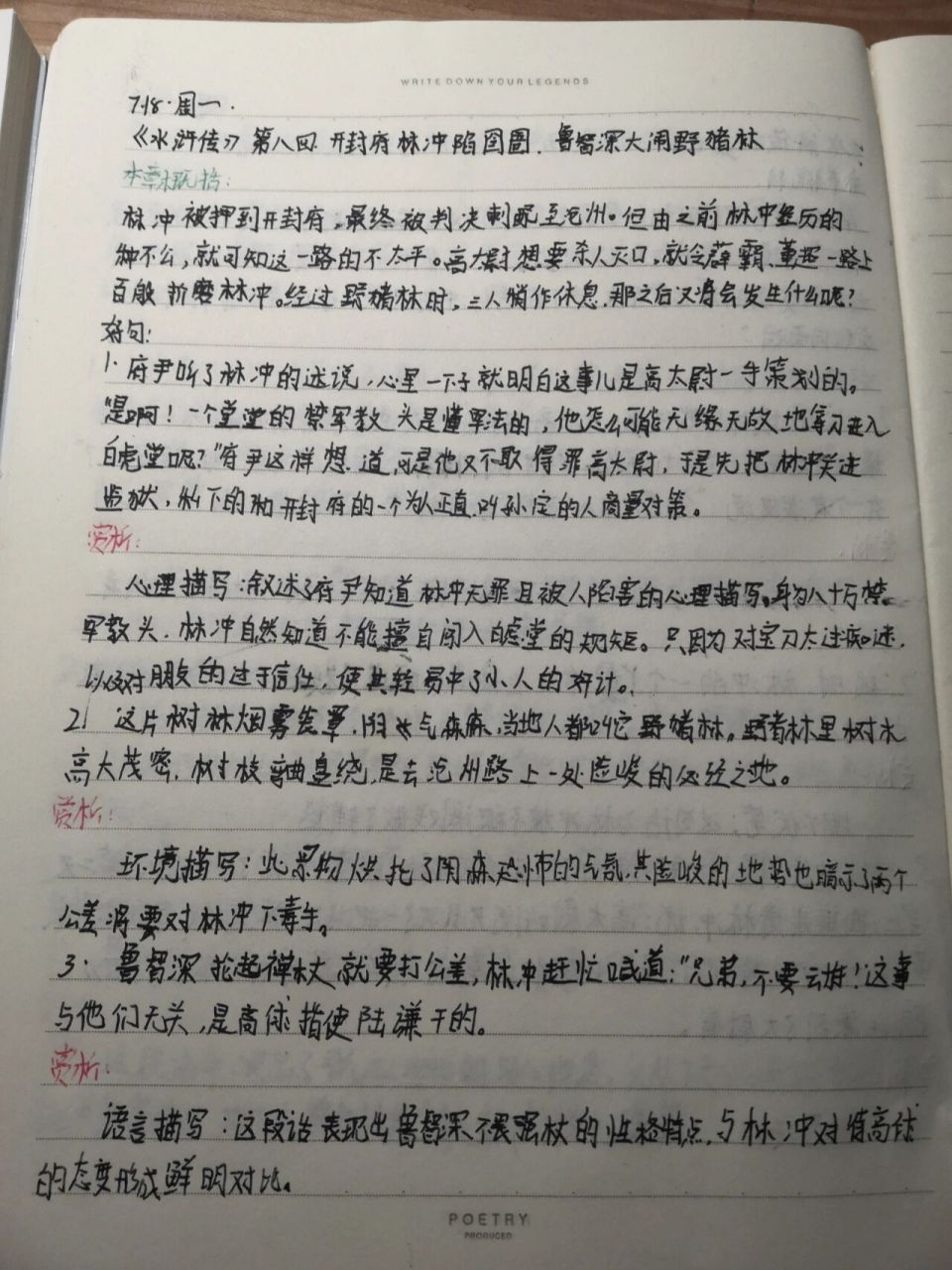 《水浒传》第八回好句赏析