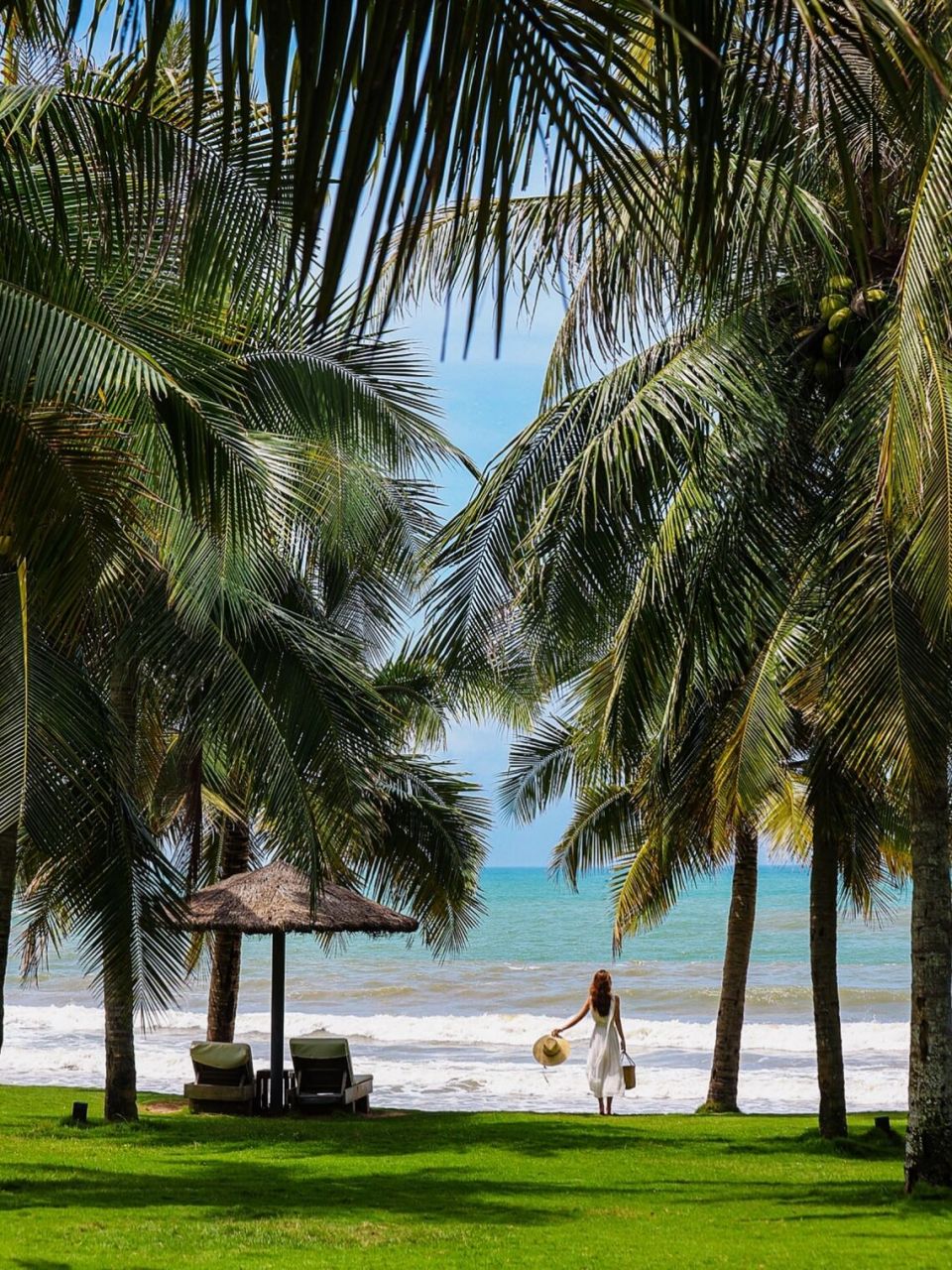 终于去了我超爱的椰林沙滩!