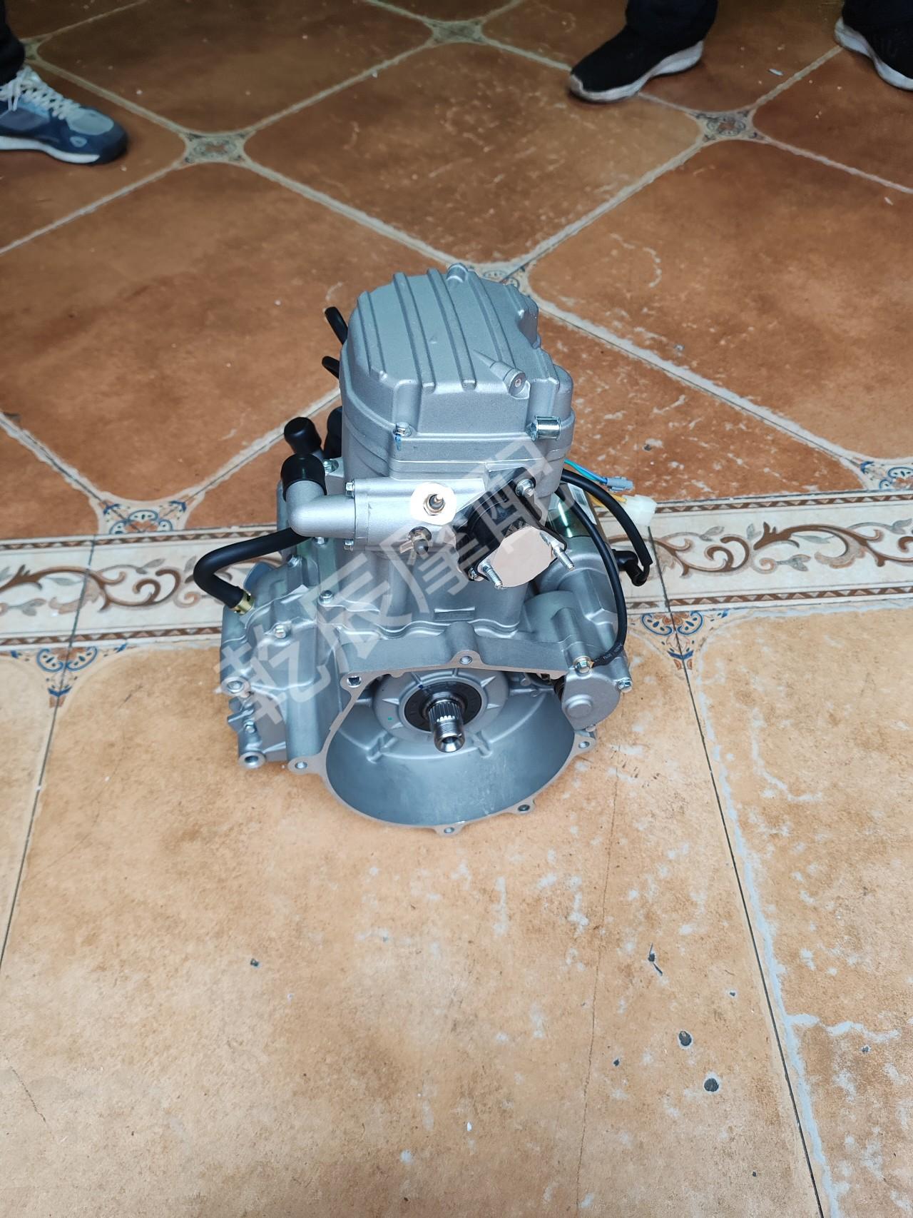 tr隆鑫中轴300/260水冷发动机