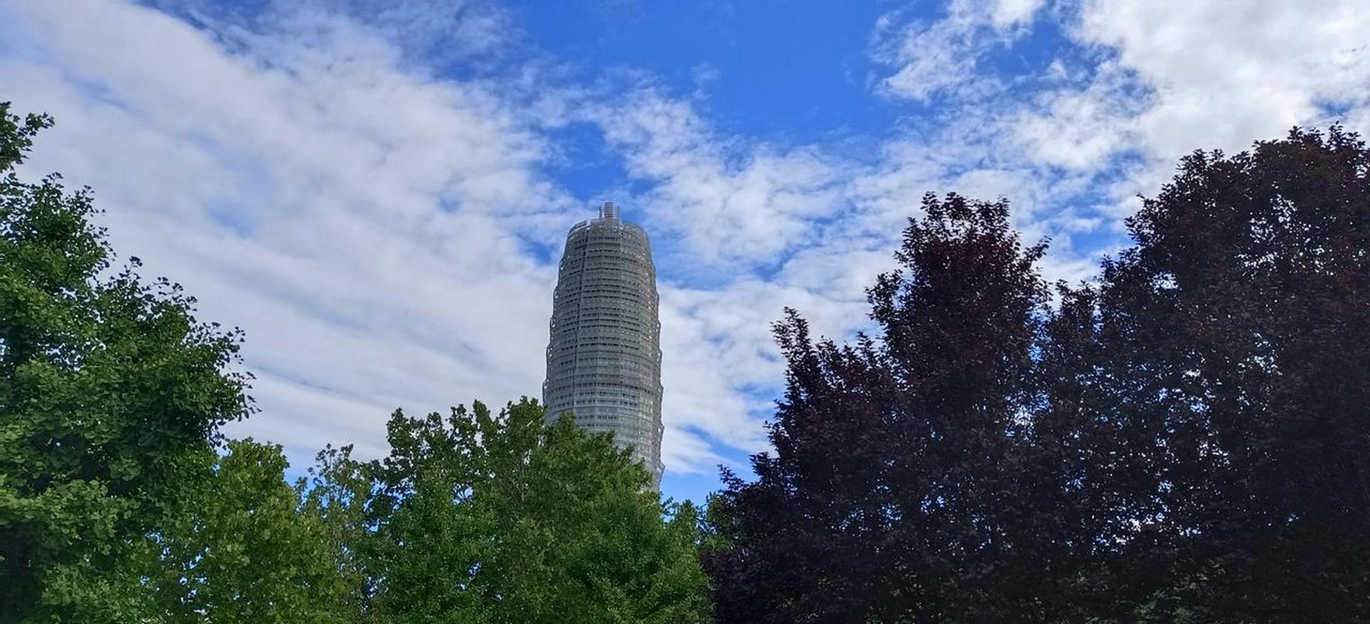 雨后郑州大玉米