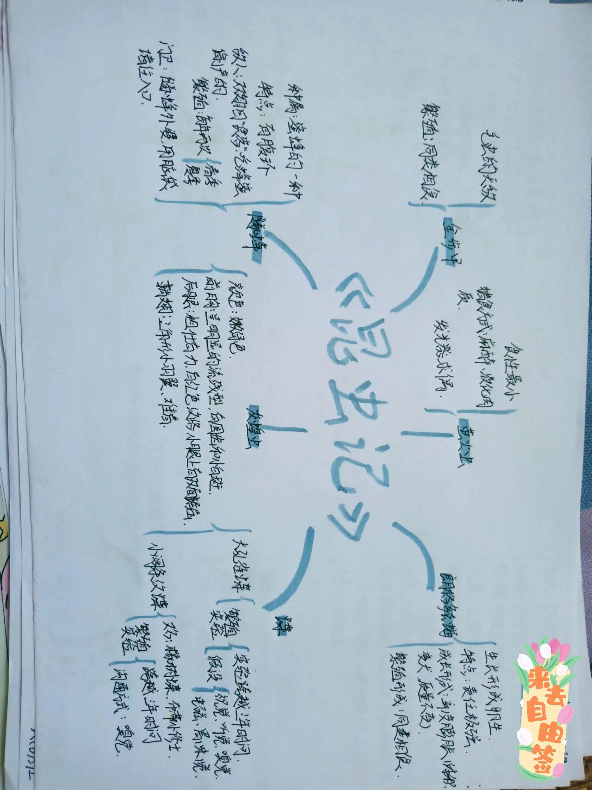 《昆虫记》思维导图