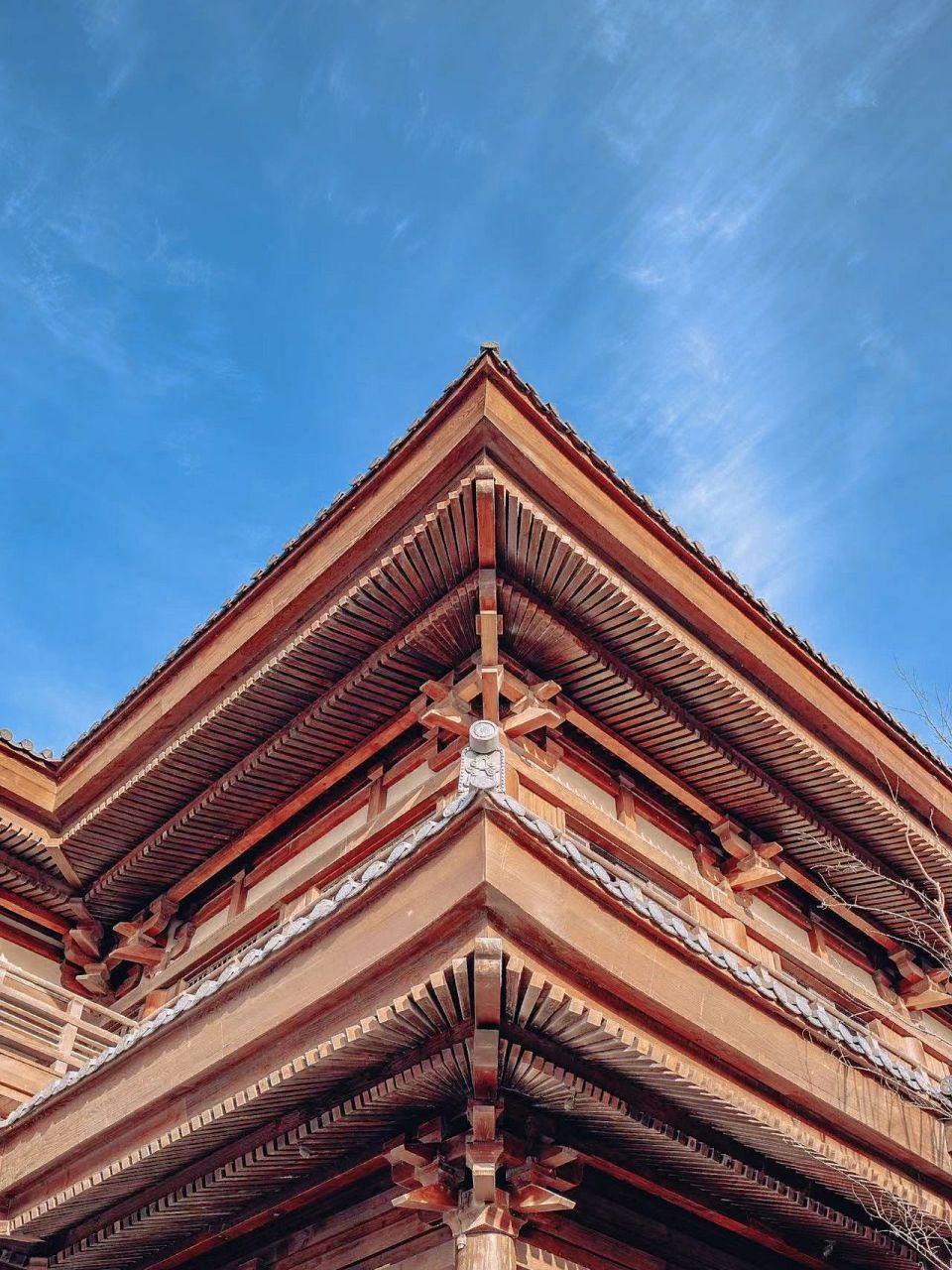 城中一角|这里的故事说不完,我在启唐等你 挚爱古风建筑97 是因为