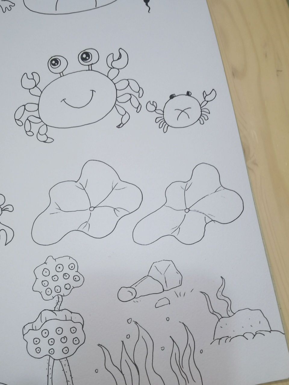 坚持三个月,每周一张简笔画 打卡第十一周:《小蝌蚪找妈妈》     同事