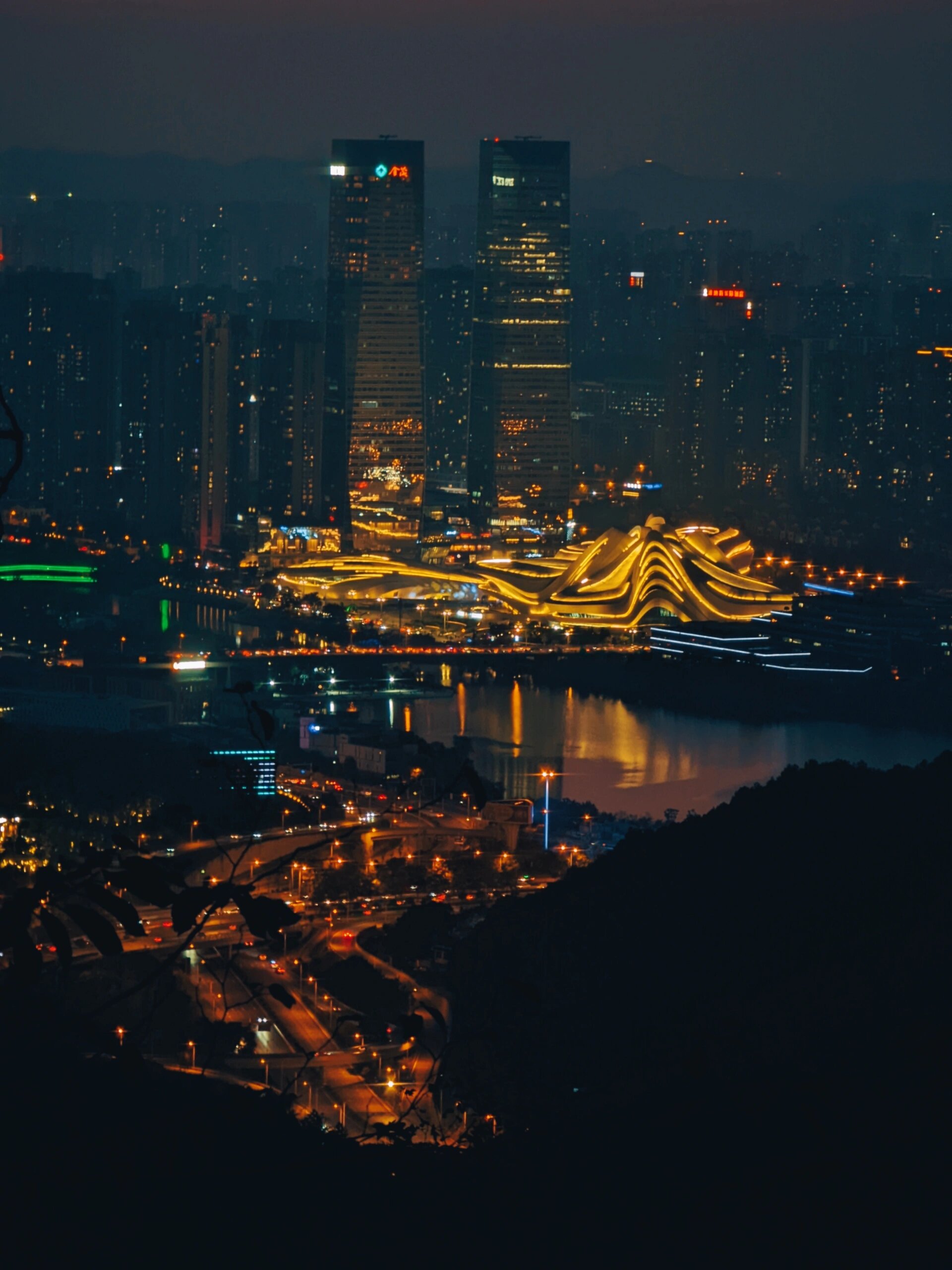 岳麓山夜景图片